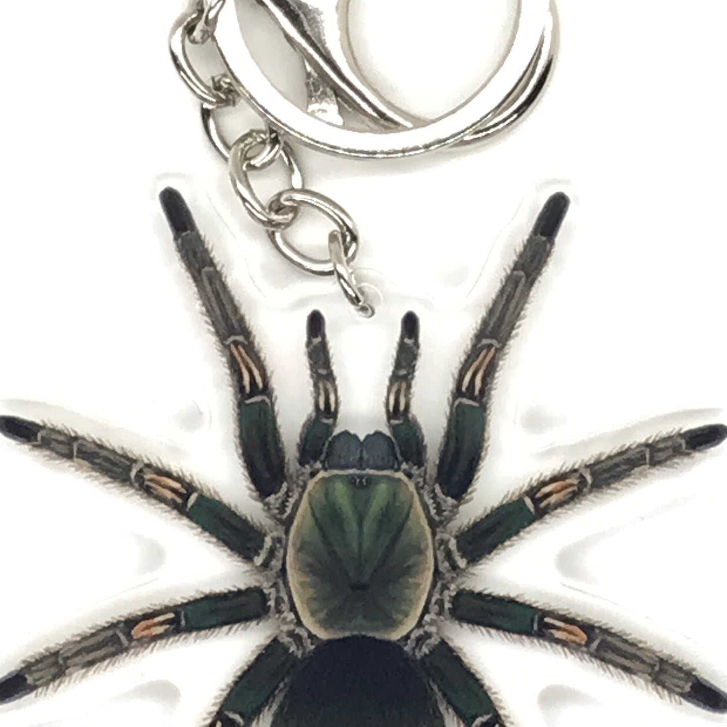 Peruvian Green Velvet Tarantula keychain with Ewok Pruriens acrylic charm, featuring detailed velvet and acrylic materials.