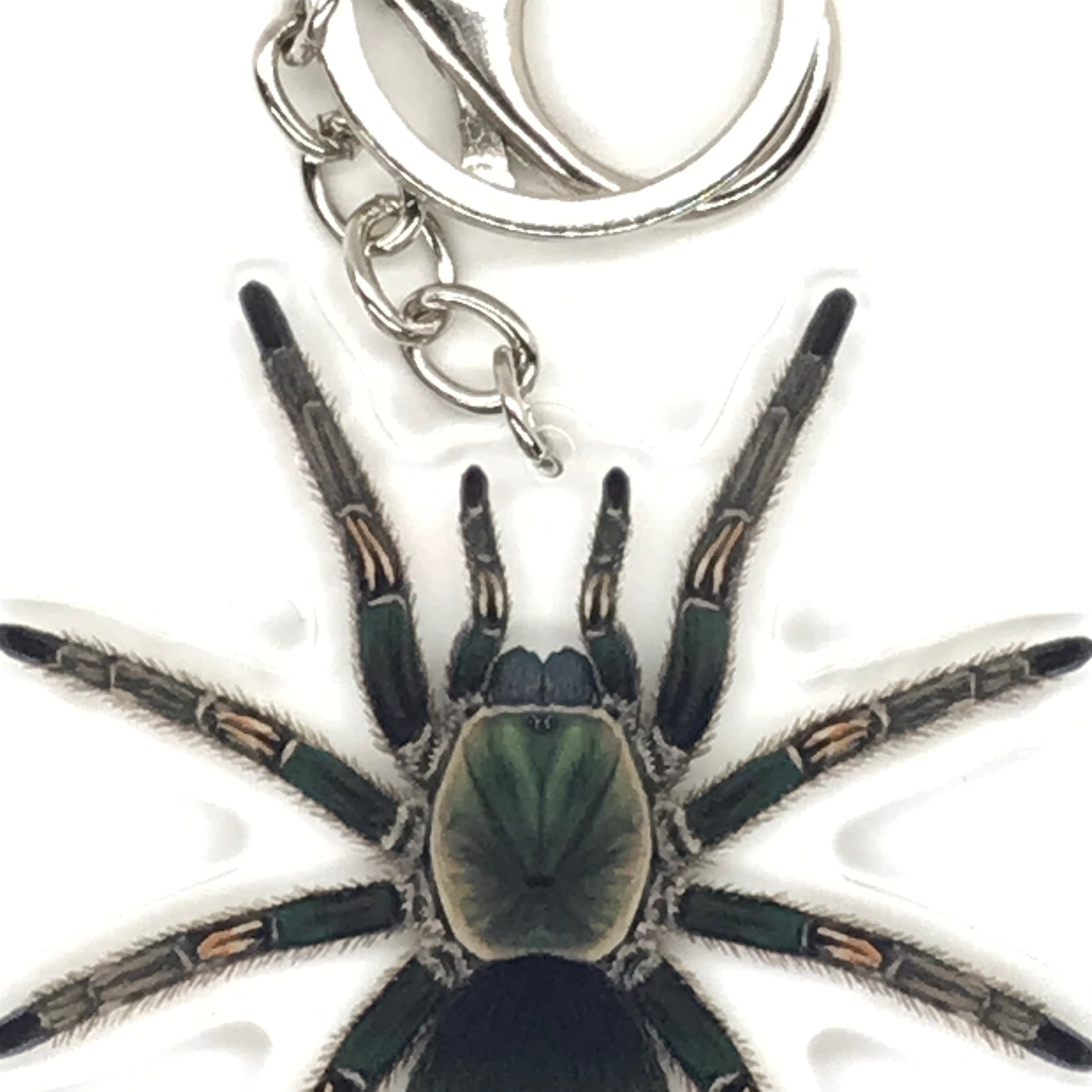 Peruvian Green Velvet Tarantula keychain with Ewok Pruriens acrylic charm, featuring detailed velvet and acrylic materials.