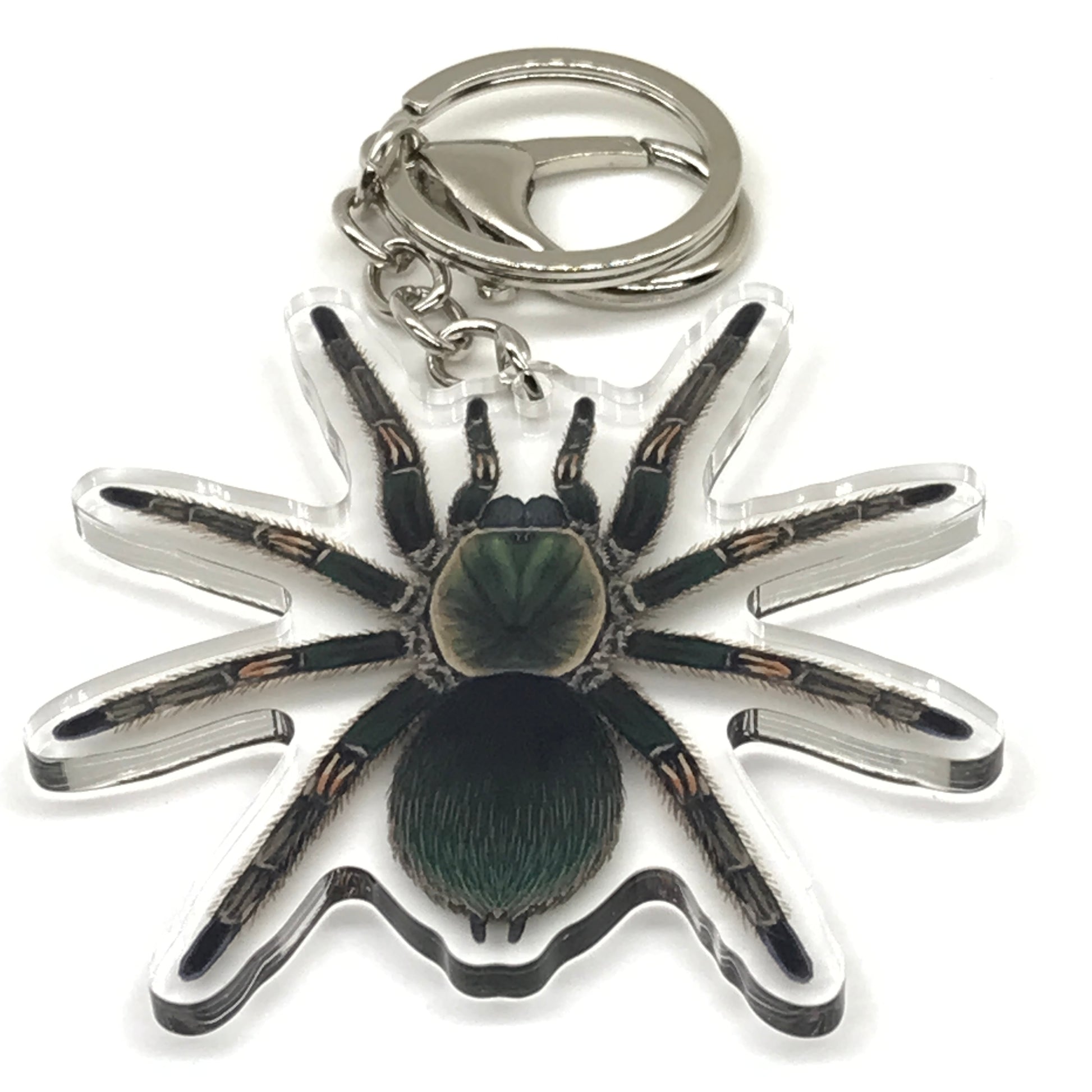 Peruvian Green Velvet Tarantula keychain with Ewok Pruriens acrylic charm, featuring vibrant green velvet spider and detailed design.