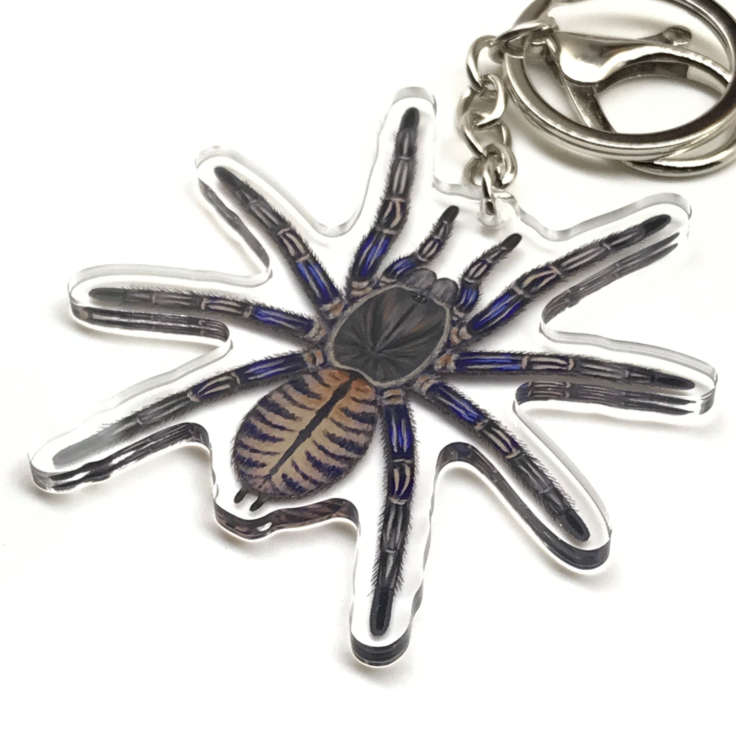 Purple Zebra Earth Tiger Tarantula keychain featuring a Cyriopagopus Albostriatus acrylic charm with purple zebra pattern.