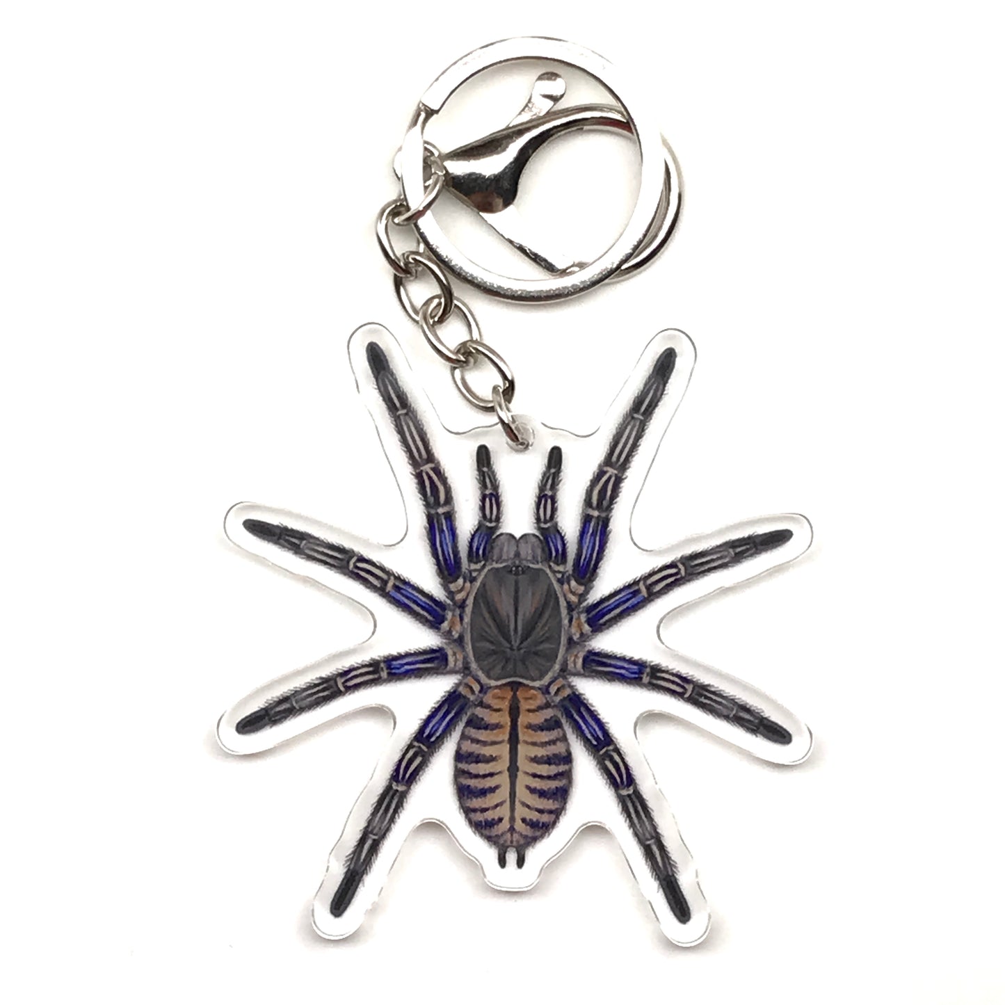Purple Zebra Earth Tiger tarantula keychain by The Silk Ranch featuring a purple zebra acrylic charm with detailed spider design.
