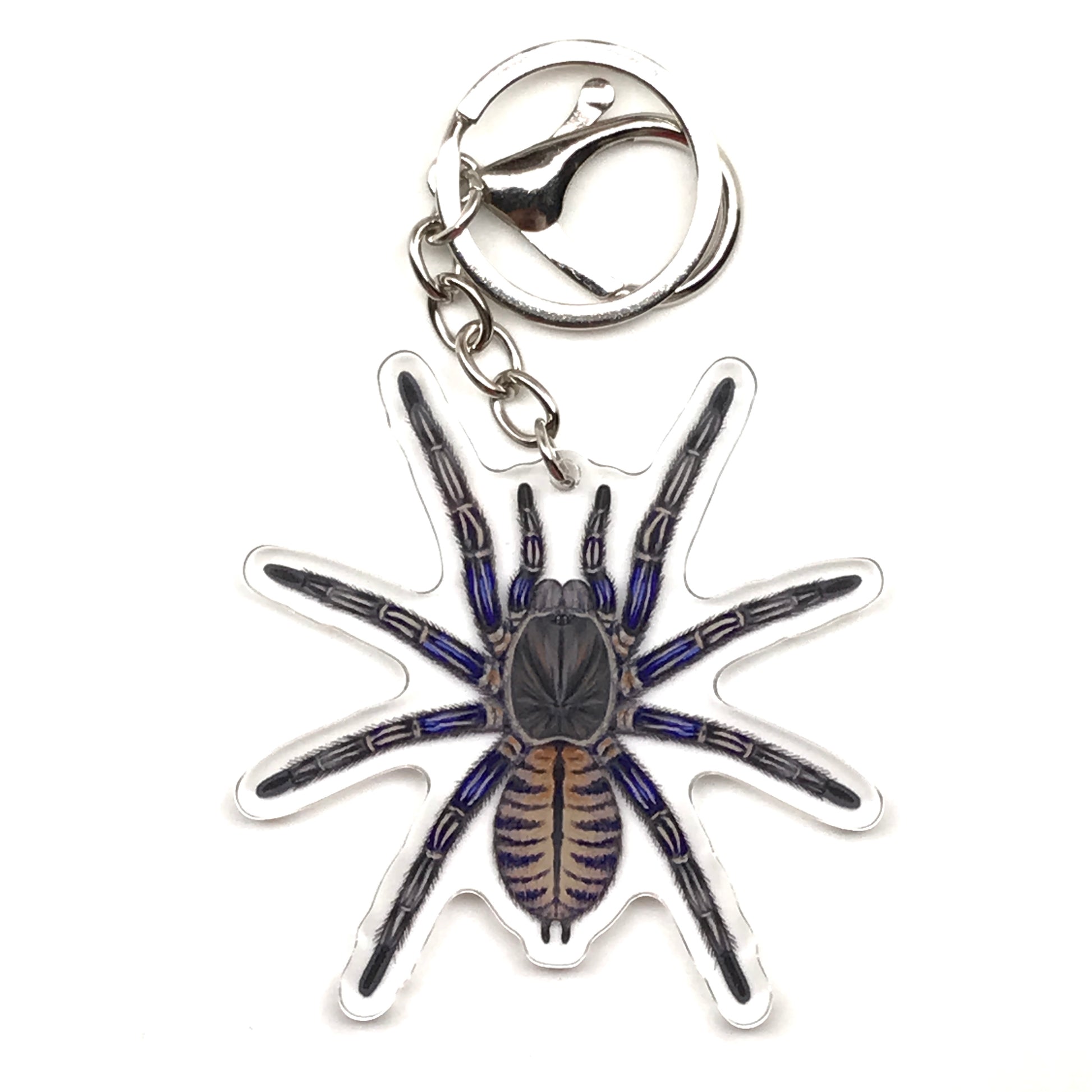 Purple Zebra Earth Tiger tarantula keychain by The Silk Ranch featuring a purple zebra acrylic charm with detailed spider design.