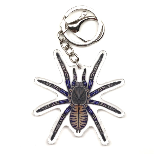 Purple Zebra Earth Tiger Tarantula Keychain, Cyriopagopus Albostriatus Purple Zebra Acrylic Charm from The Silk Ranch