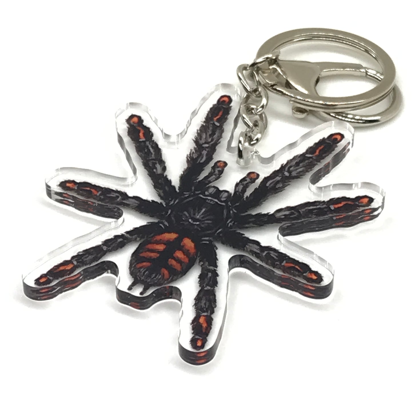 Venezuelan Sun Tiger Tarantula keychain by The Silk Ranch, acrylic charm featuring Psalmopoeus Irminia spider on a keyring.