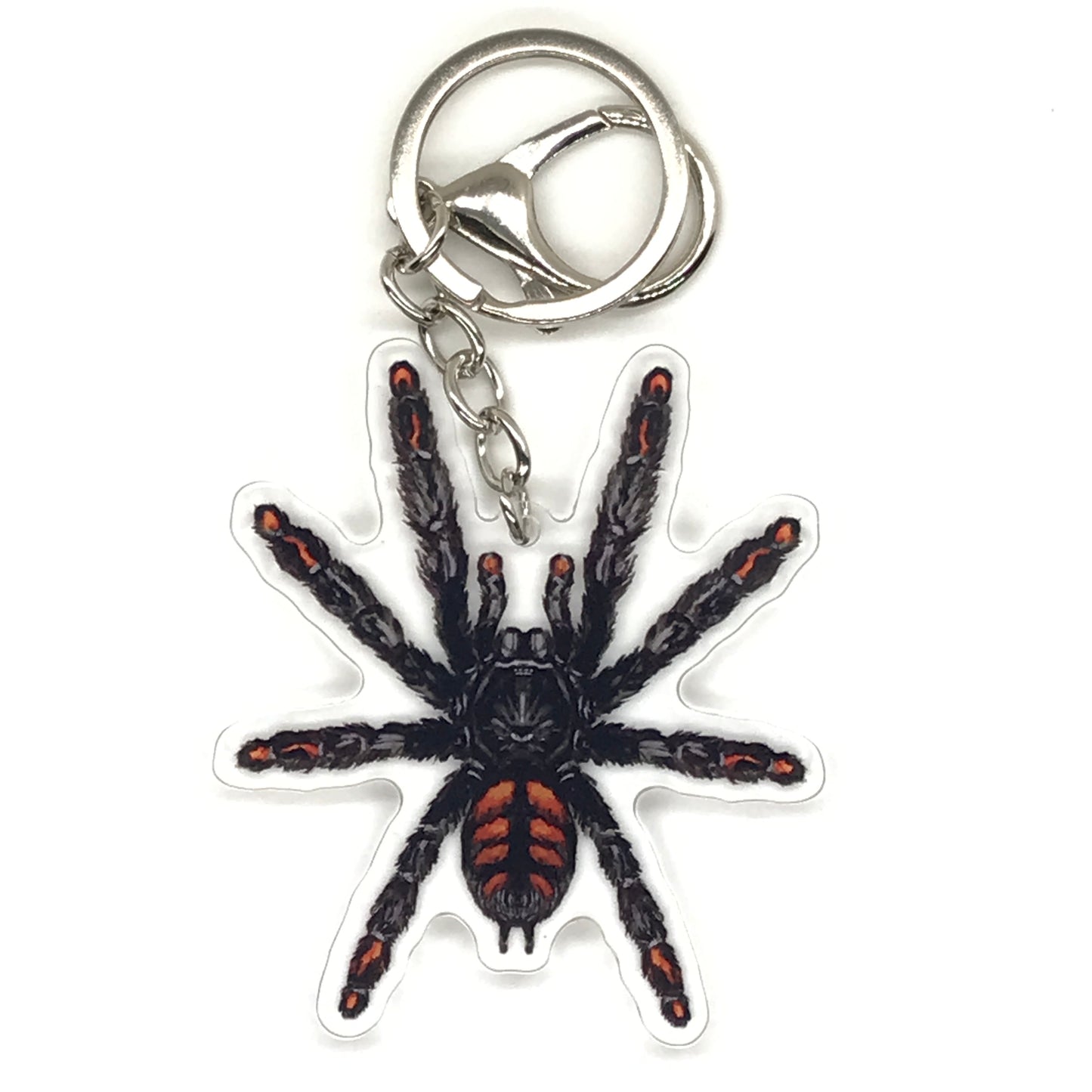 Venezuelan Sun Tiger Tarantula keychain featuring Psalmopoeus irminia acrylic charm on a metal keyring.