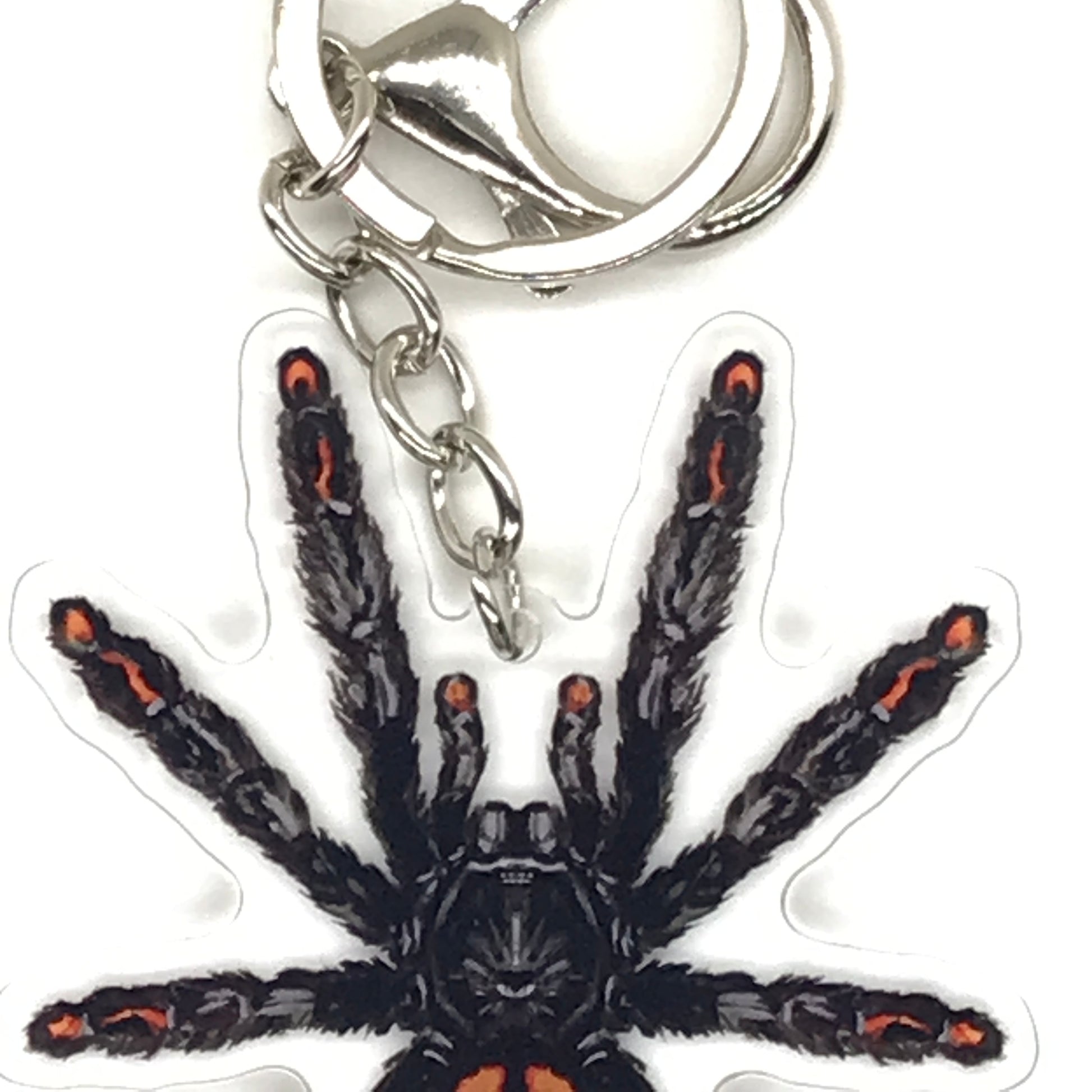 Acrylic keychain featuring a detailed Venezuelan Sun Tiger Tarantula (Psalmopoeus irminia) charm with vibrant orange and black colors.