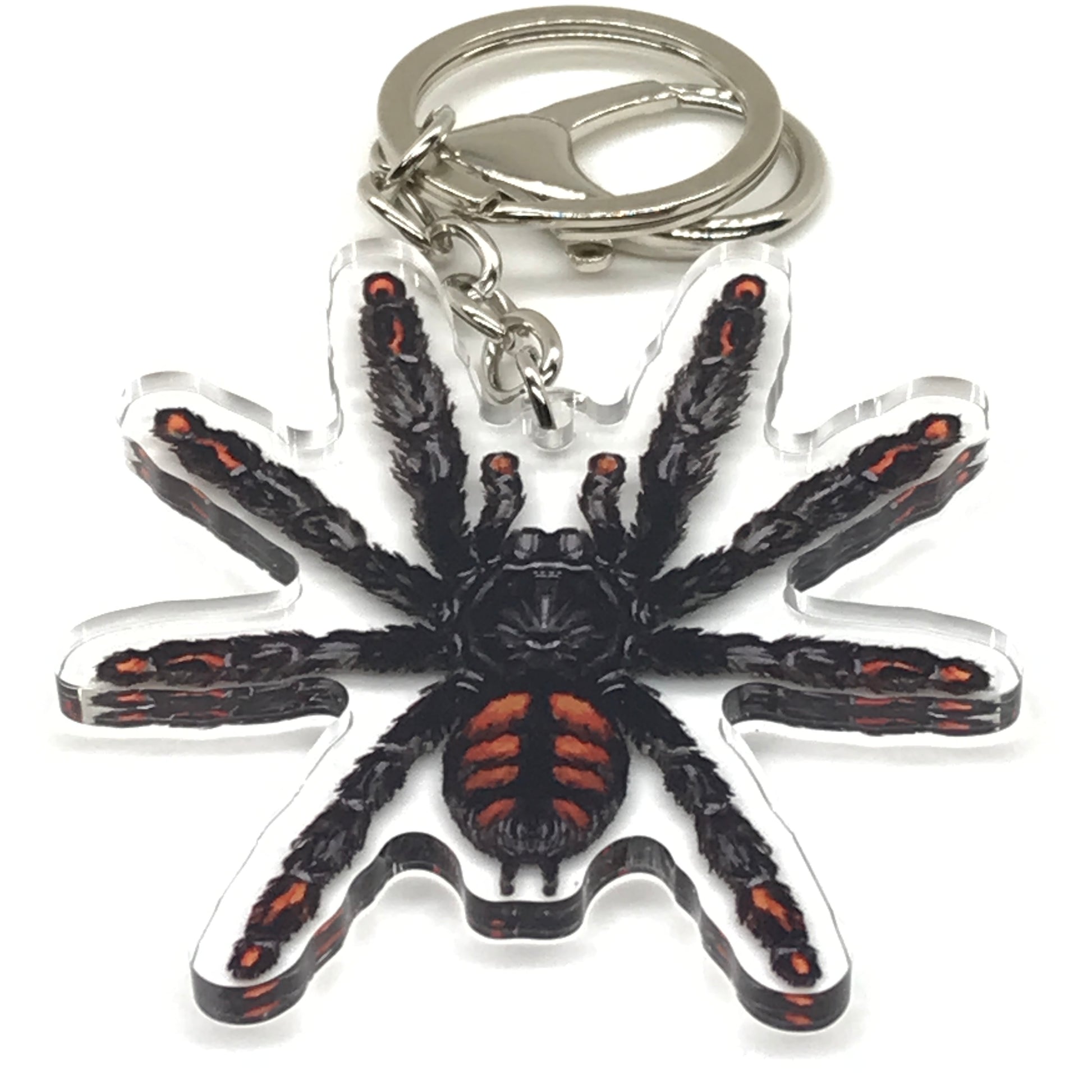 Venezuelan Sun Tiger Tarantula keychain featuring Psalmopoeus Irminia acrylic charm with detailed spider illustration.