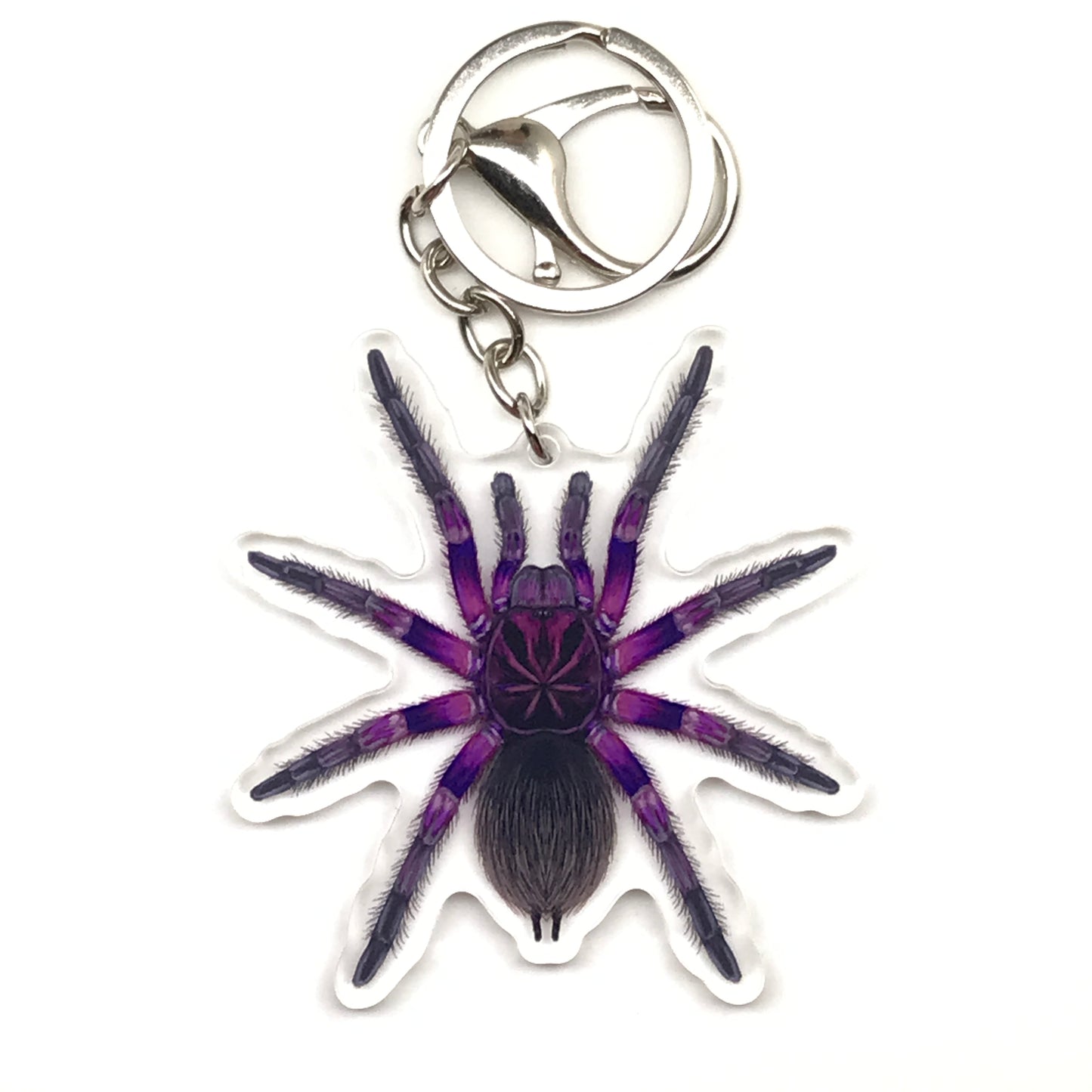 Pink Bloom Tarantula keychain featuring Pamphobeteus Sp. Platyomma acrylic charm, showcasing detailed spider design.