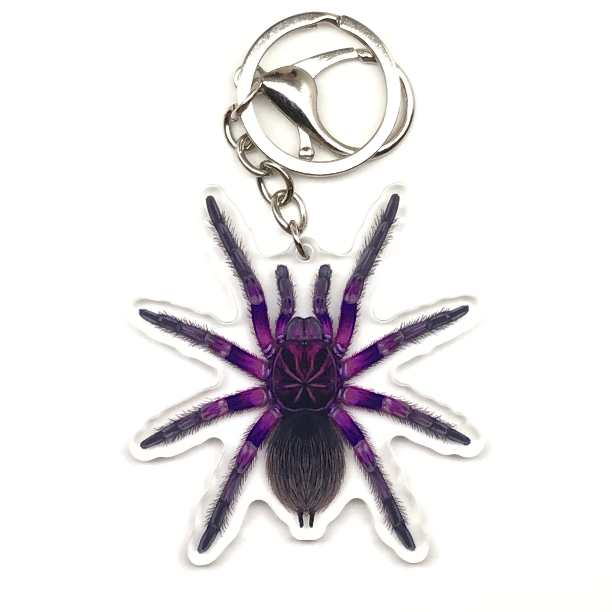 Pink Bloom Tarantula keychain featuring Pamphobeteus Sp. Platyomma acrylic charm, showcasing detailed spider design.