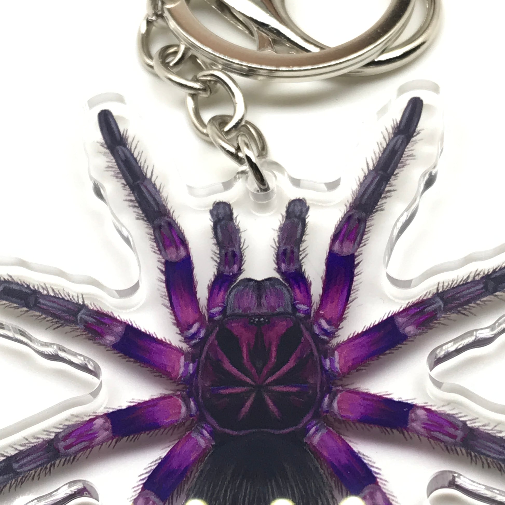 Pink Bloom Tarantula keychain featuring Pamphobeteus Sp. Platyomma acrylic charm from The Silk Ranch.