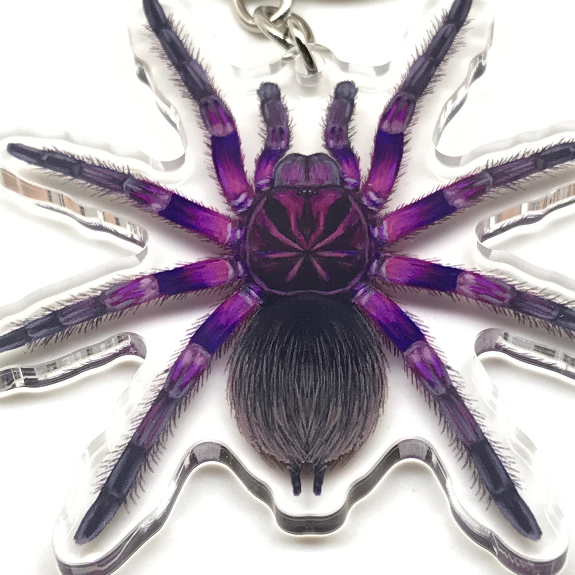Pink Bloom Tarantula keychain with acrylic charm featuring Pamphobeteus Sp. Platyomma, from The Silk Ranch.