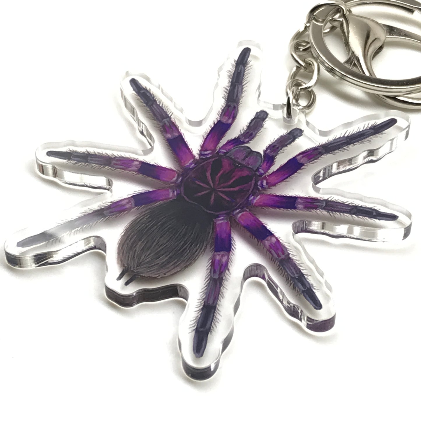 Pink Bloom Tarantula keychain with acrylic charm featuring Pamphobeteus Sp. Platyomma, from The Silk Ranch.