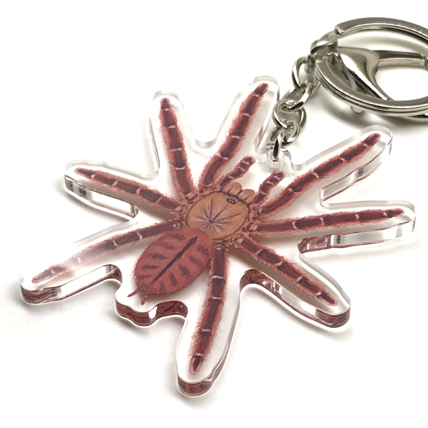 Peach Earth Tiger Tarantula Aspinochilus Rufus acrylic keychain charm with detailed spider design, by The Silk Ranch.