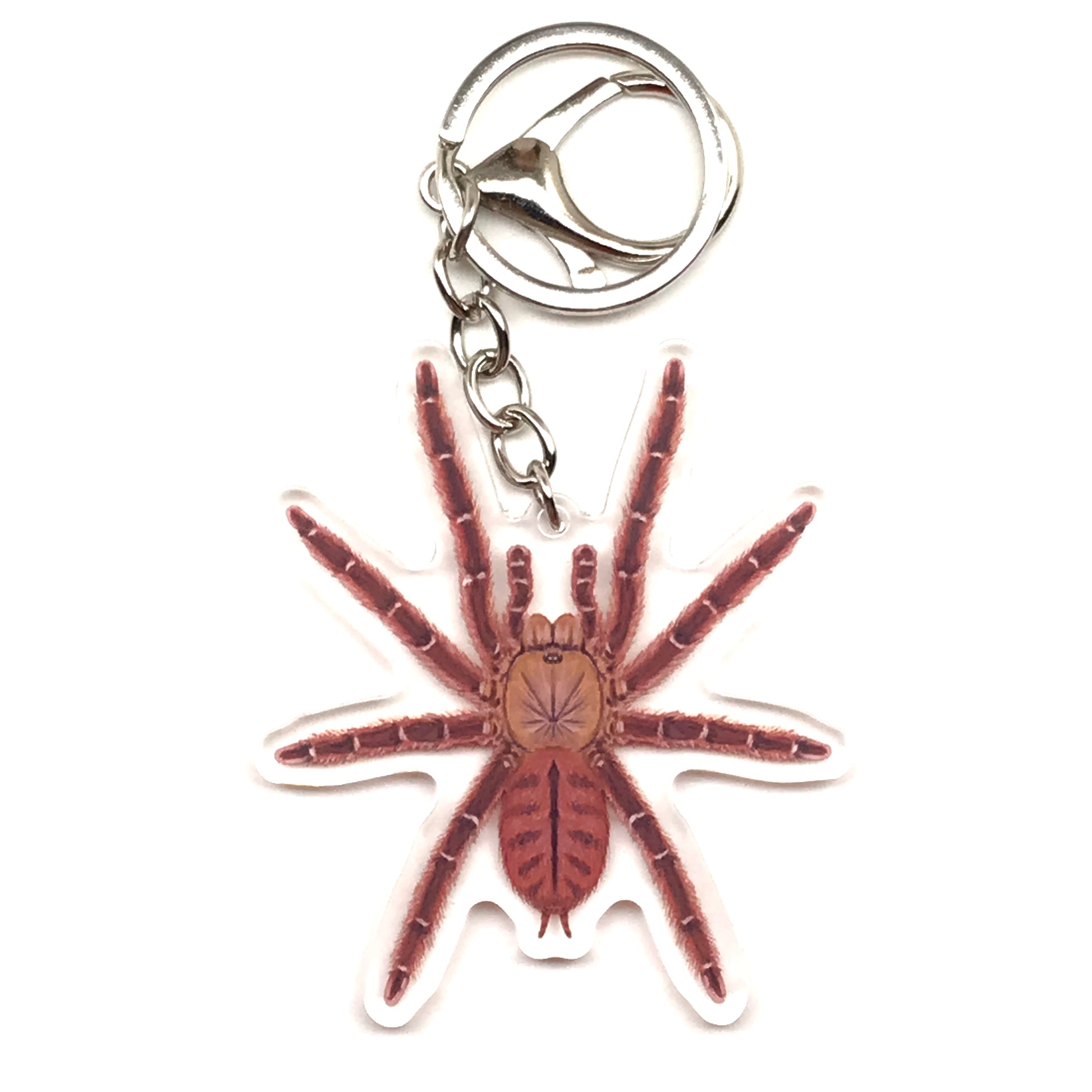 Acrylic keychain featuring a peach-colored Earth Tiger Tarantula Aspinochilus Rufus charm with a detailed spider design.