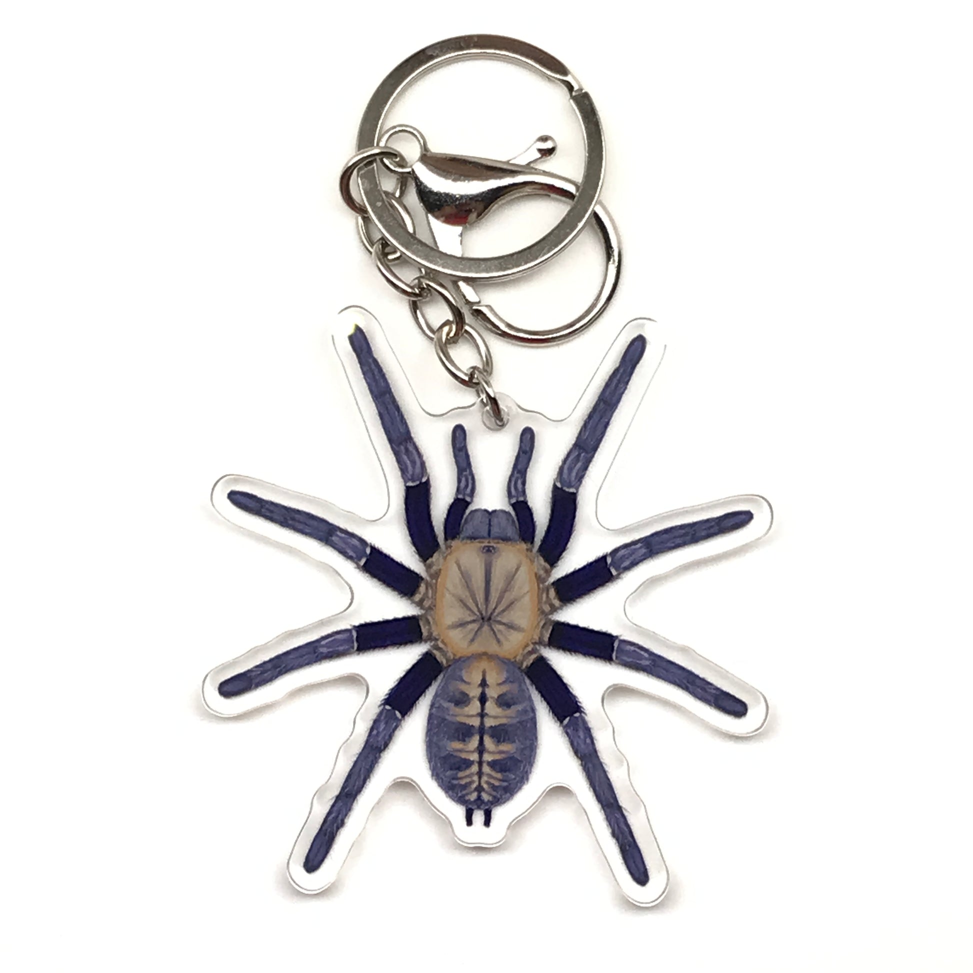 Malaysian Blue Femur Tarantula Cyriopagopus Robustus acrylic keychain charm with detailed spider design on a transparent background.