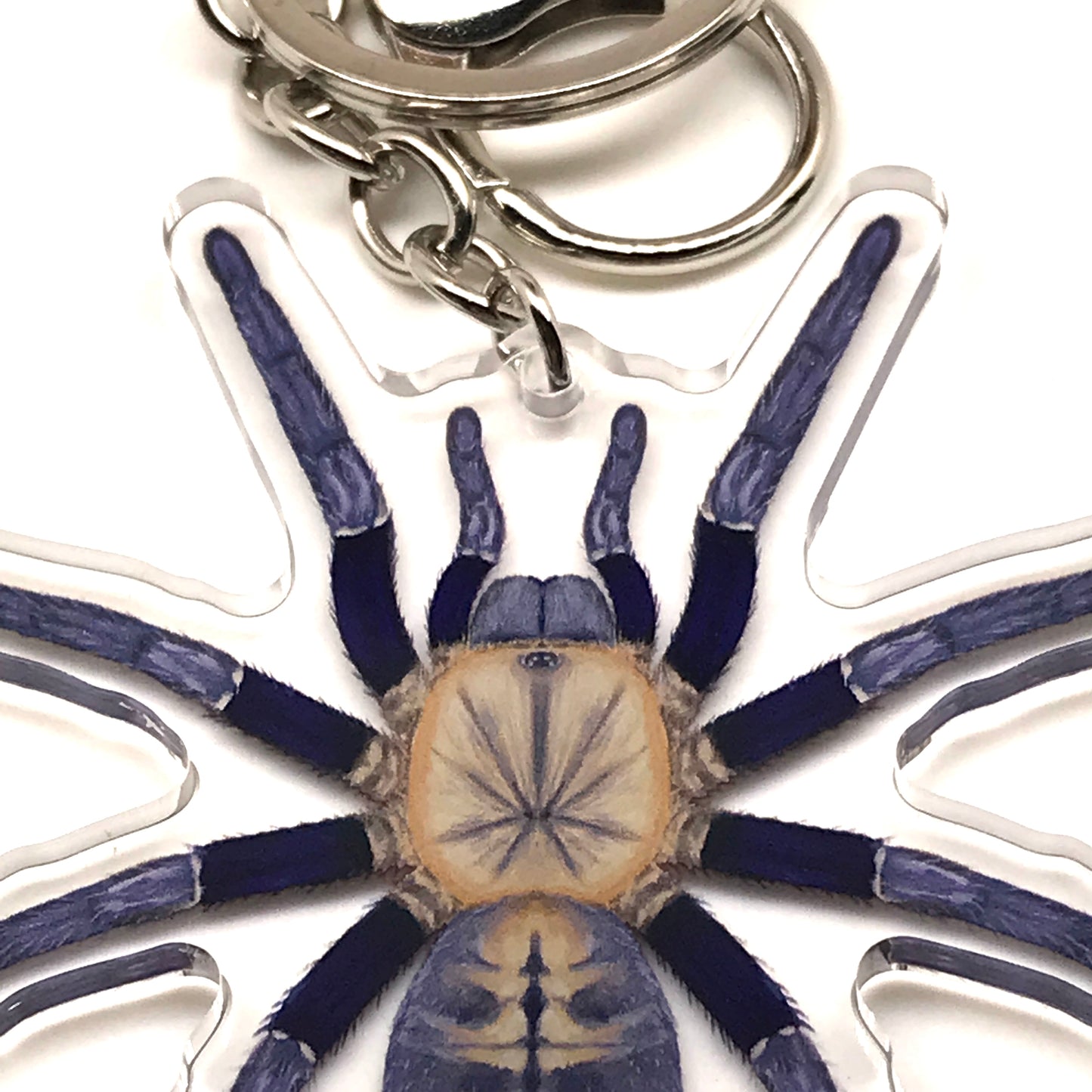 Malaysian Blue Femur Tarantula Cyriopagopus Robustus acrylic keychain with detailed blue and black spider design.