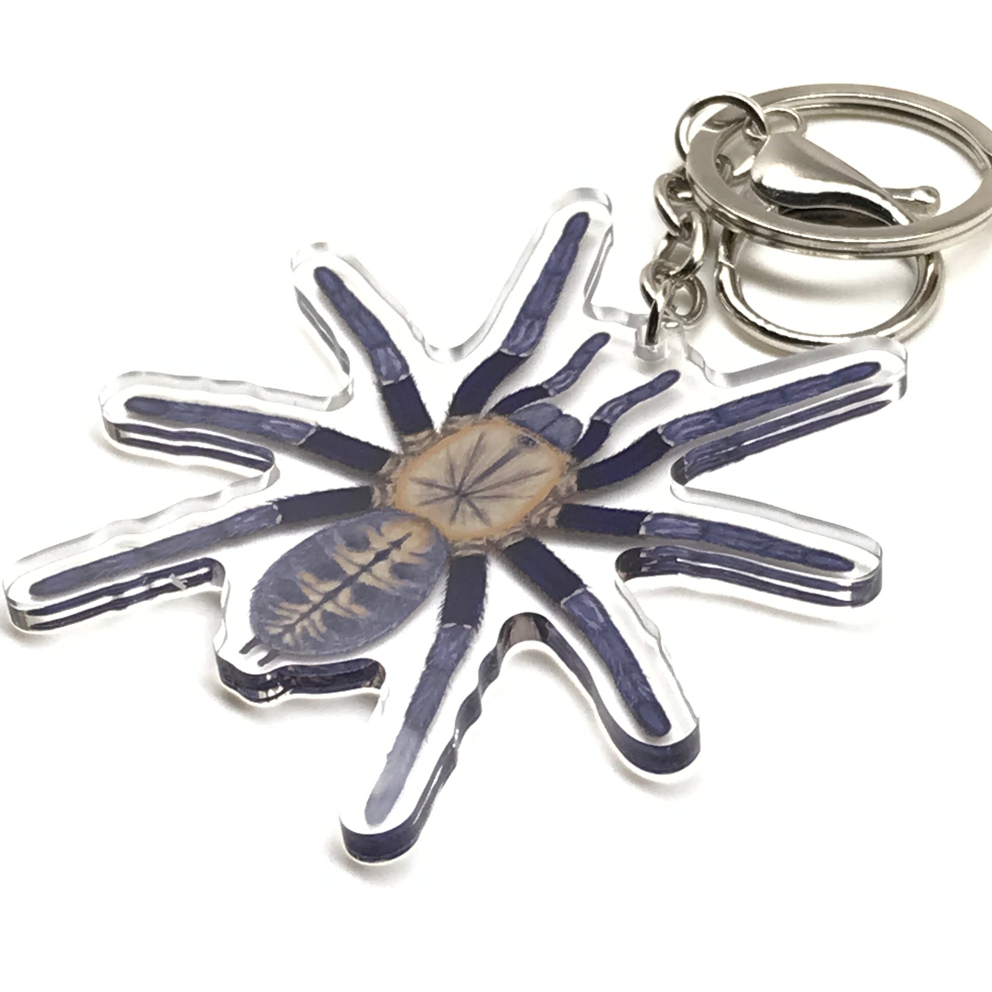 Malaysian Blue Femur Tarantula Cyriopagopus Robustus acrylic keychain charm with detailed blue and black arachnid design.