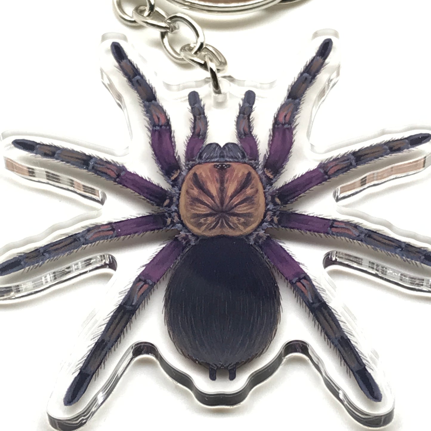 Punta Cana Birdeater Tarantula Keychain, Phormictopus Sp. Oriente Acrylic Charm from The Silk Ranch