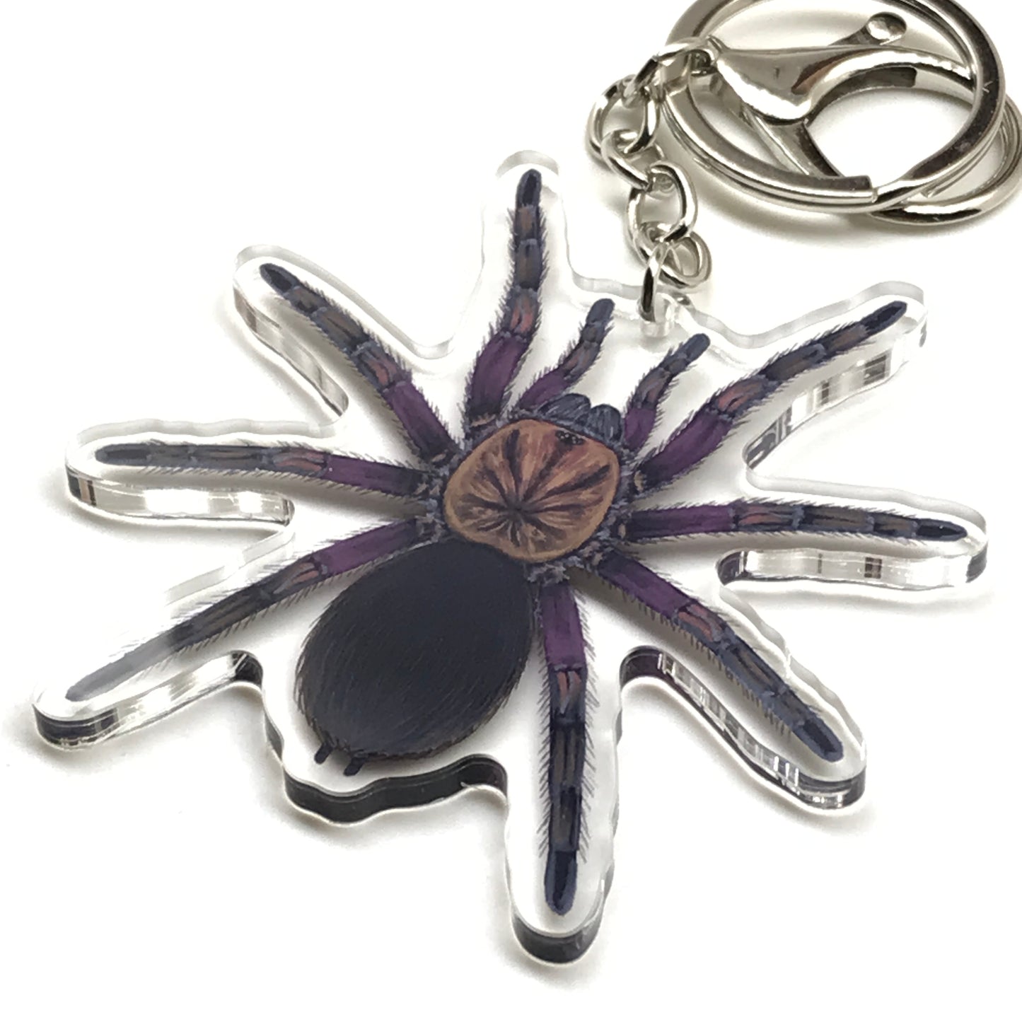 Punta Cana Birdeater Tarantula Keychain, Phormictopus Sp. Oriente Acrylic Charm from The Silk Ranch