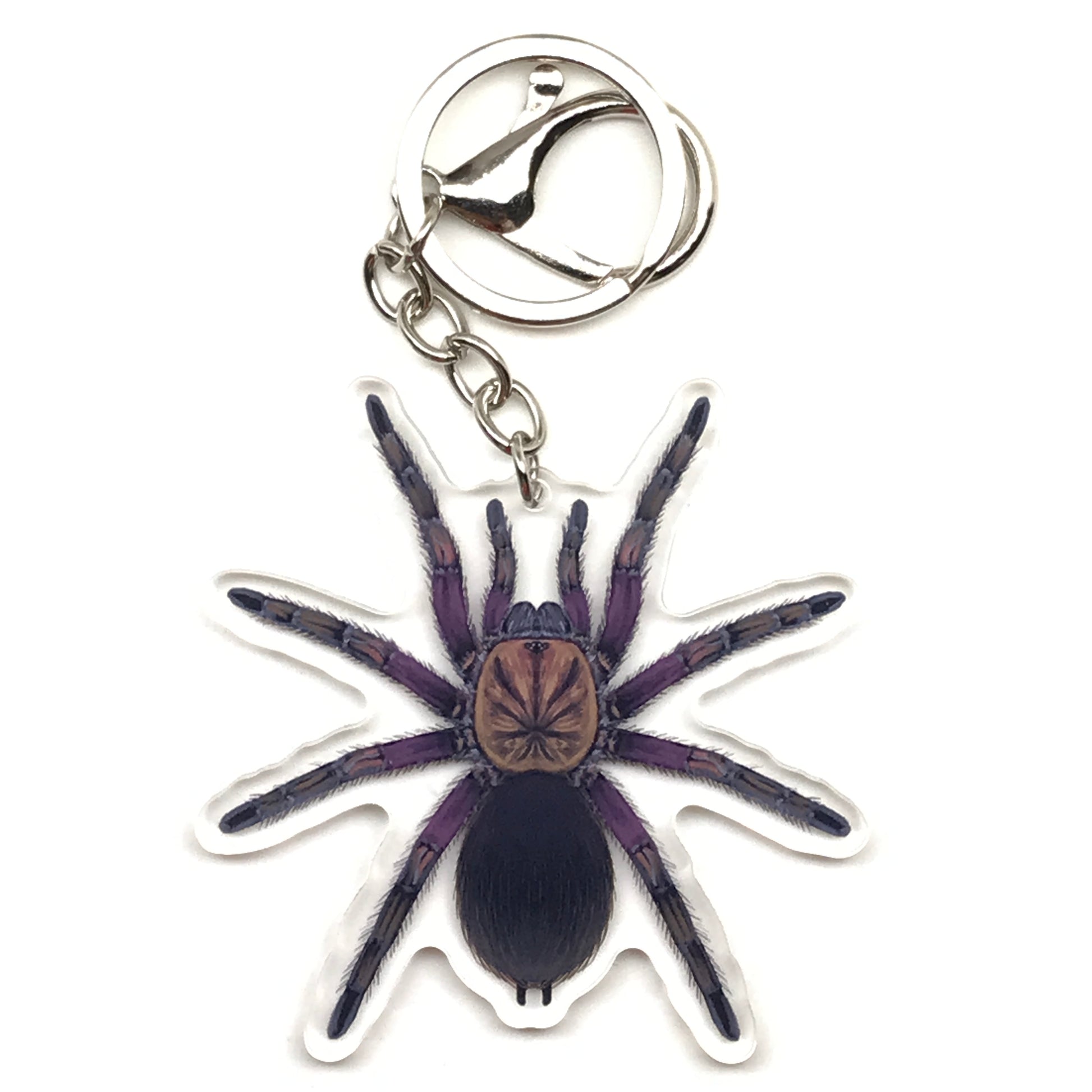 Punta Cana Birdeater Tarantula Keychain, Phormictopus Sp. Oriente Acrylic Charm from The Silk Ranch