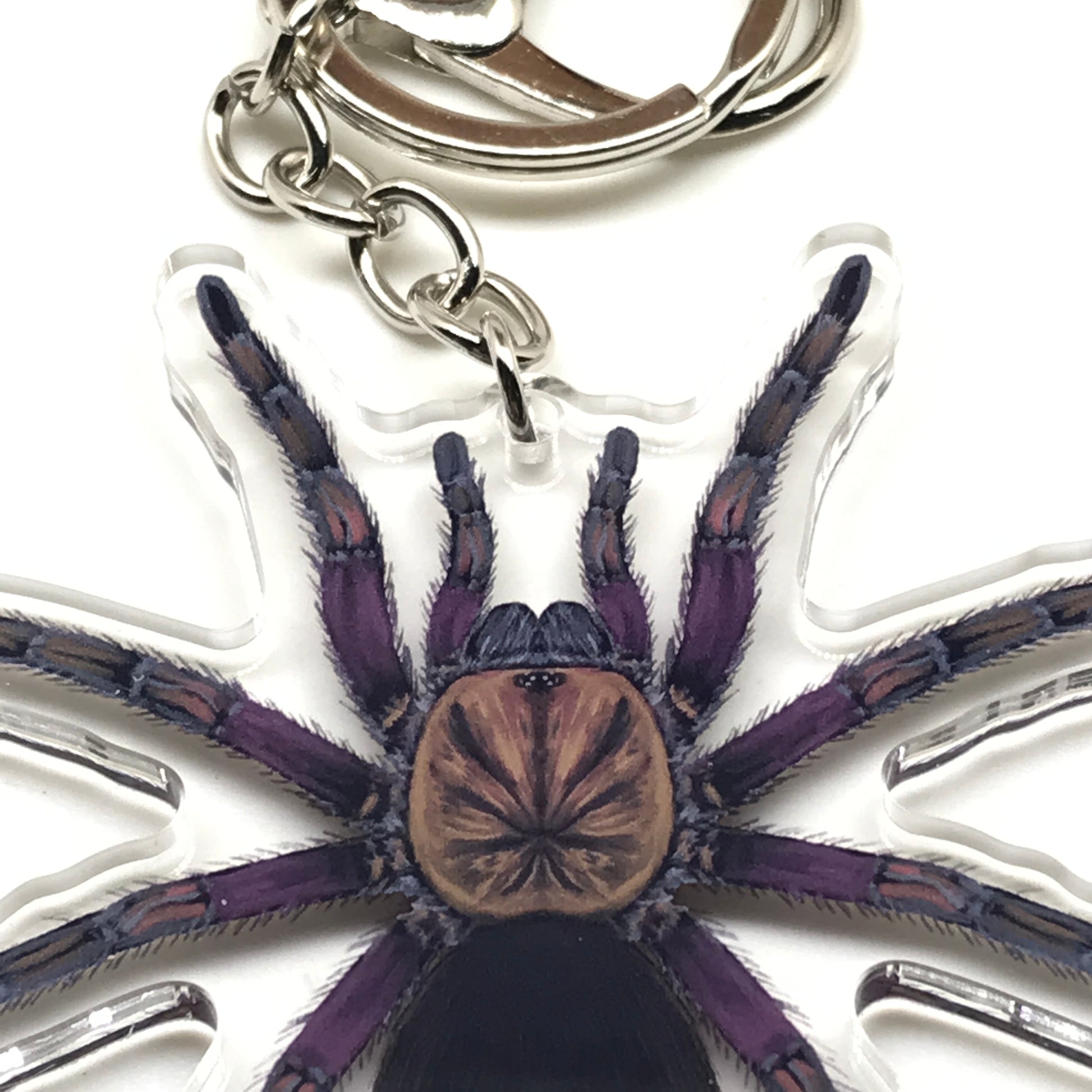Punta Cana Birdeater Tarantula Keychain, Phormictopus Sp. Oriente Acrylic Charm from The Silk Ranch