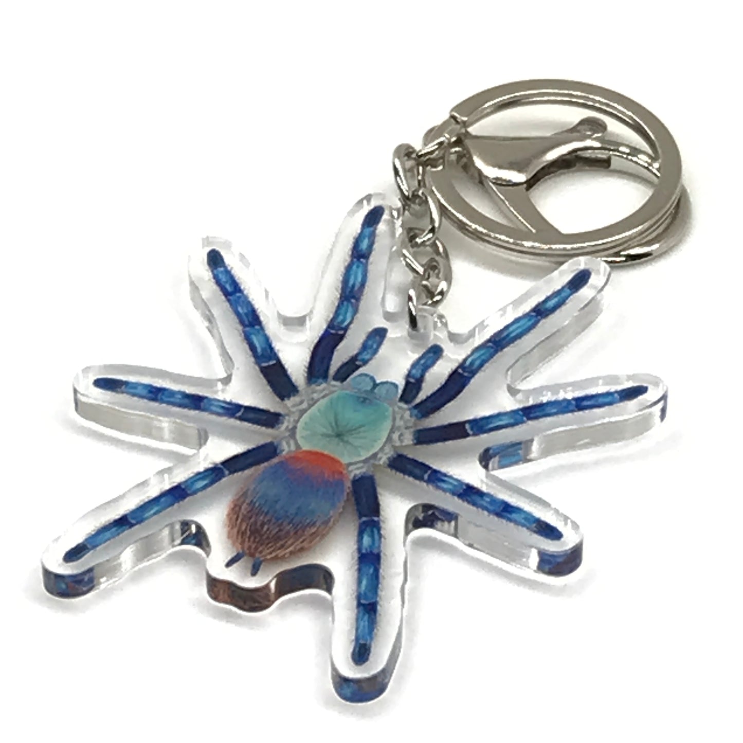 Brazilian Blue Dwarf Beauty Tarantula Keychain, Dolichothele Diamantinensis Acrylic Charm from The Silk Ranch