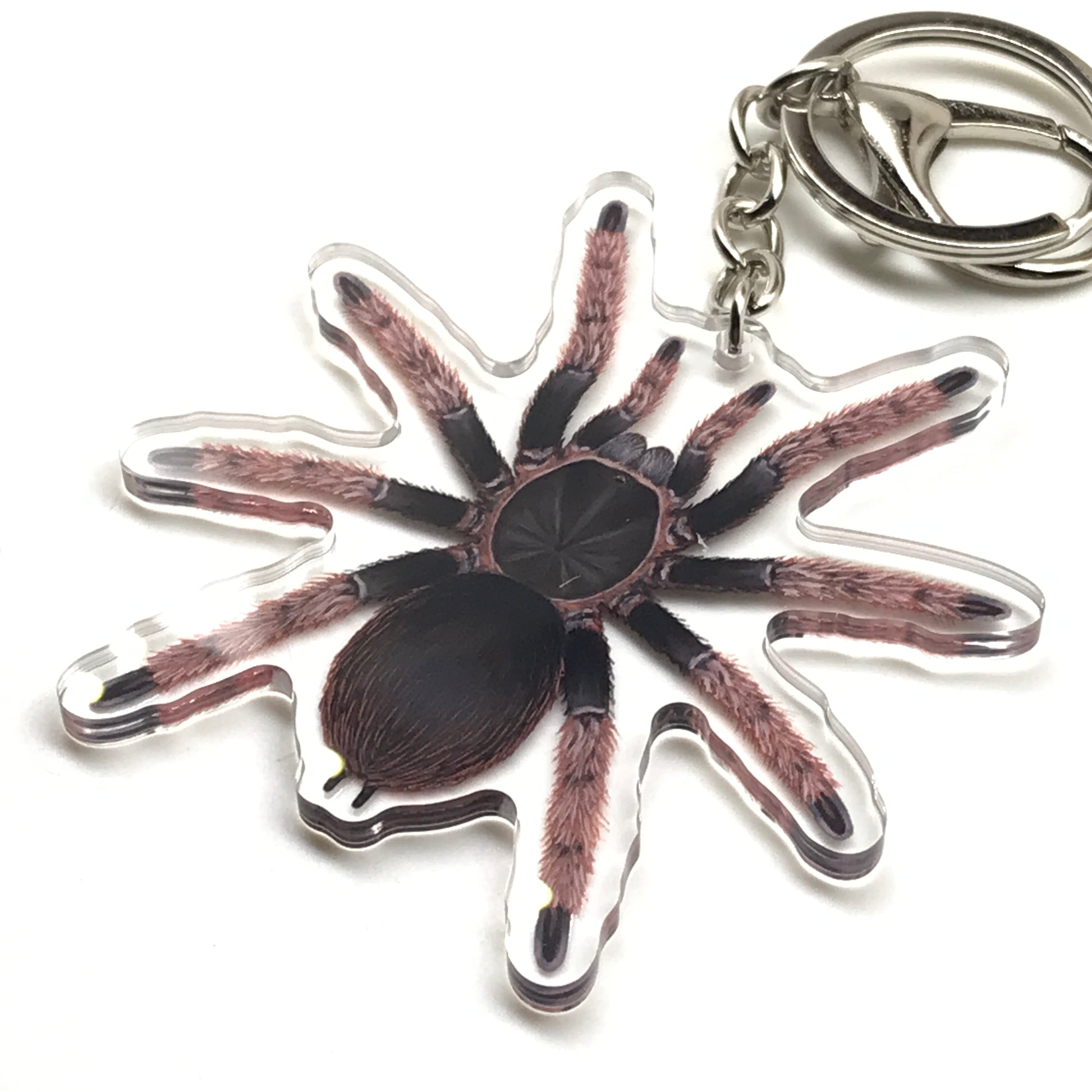 Mexican Pink Tarantula keychain featuring Brachypelma klaasi acrylic charm with detailed pink and black spider design.