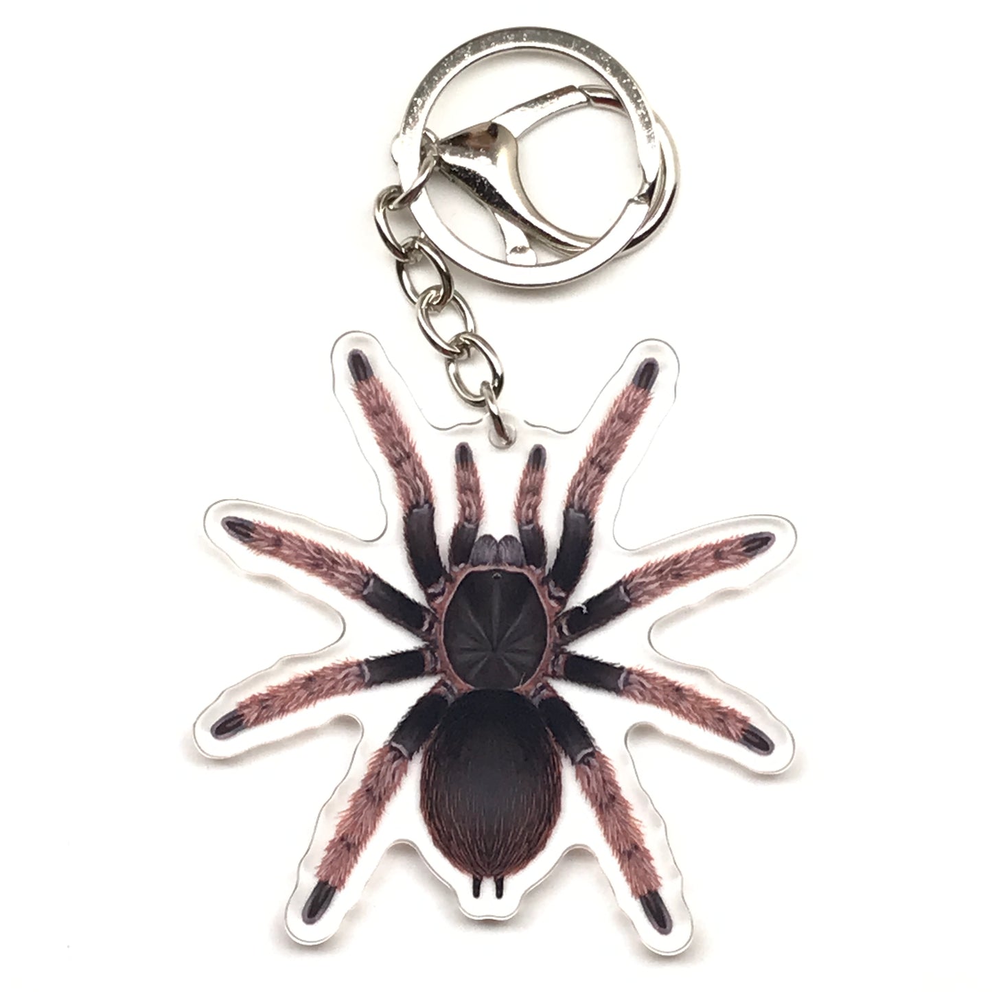 Mexican Pink Tarantula Brachypelma Klaasi acrylic keychain charm with detailed pink and brown spider design on a clear background.