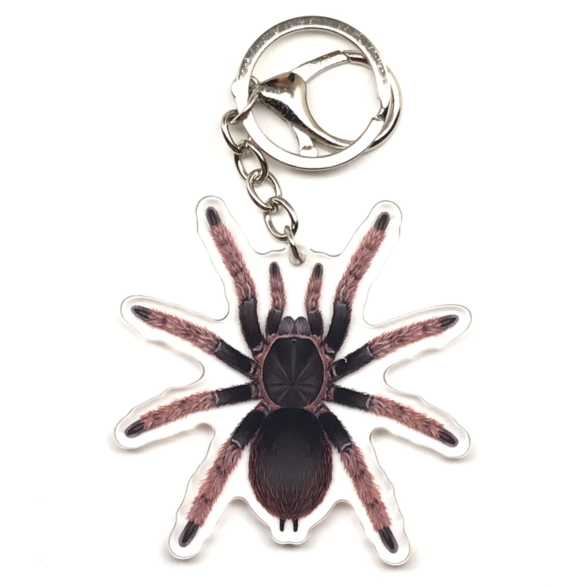 Mexican Pink Tarantula Brachypelma Klaasi acrylic keychain charm with detailed pink and brown spider design on a clear background.