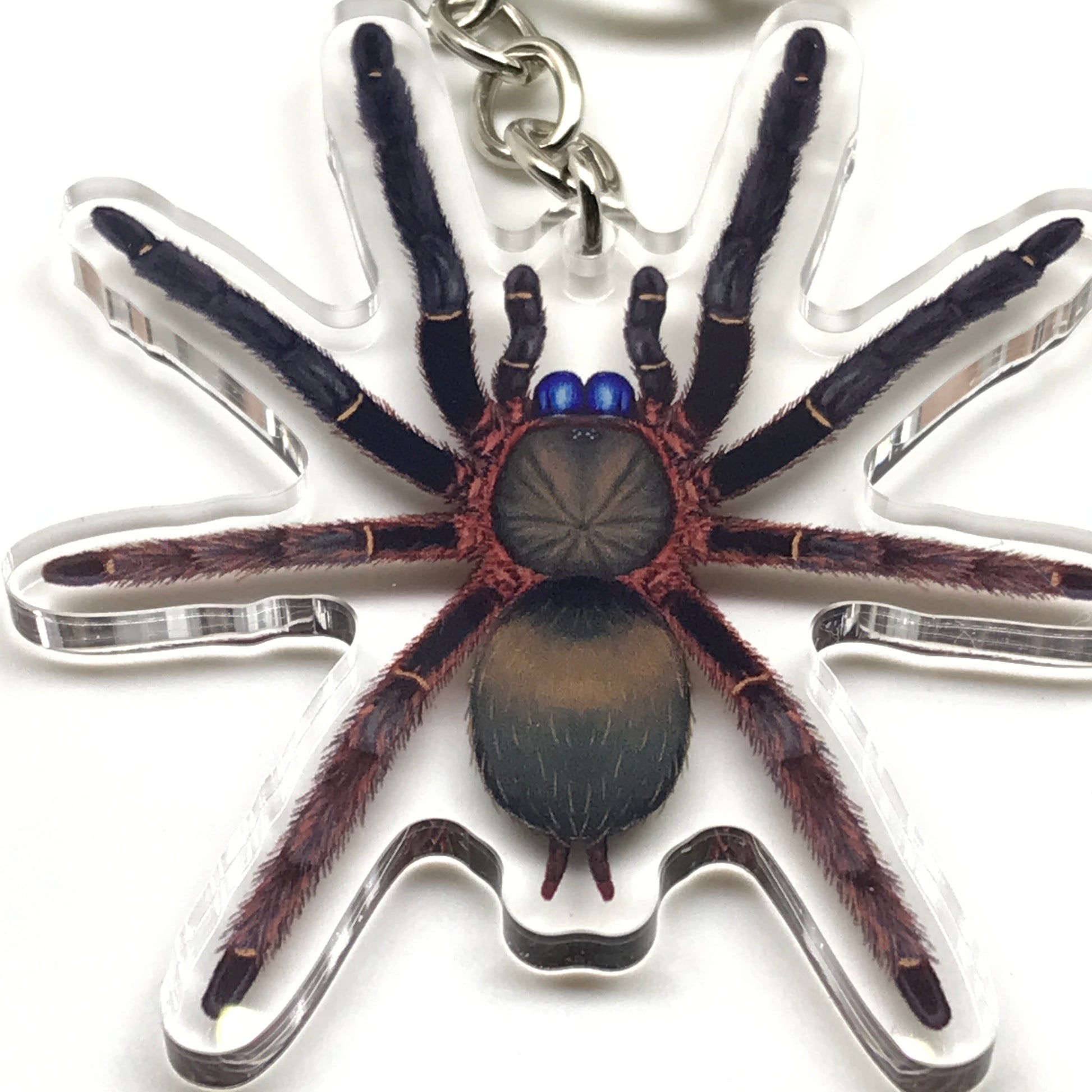 Blue Fang Skeleton Tarantula keychain featuring Ephebopus Cyanognathus acrylic charm, showcasing detailed spider design and vibrant colors.