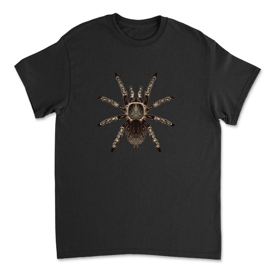 Costa Rican striped-knee tarantula art T-shirt by Mingo Art, featuring a detailed illustration of the Aphonopelma seemanni on a casual t-shirt.