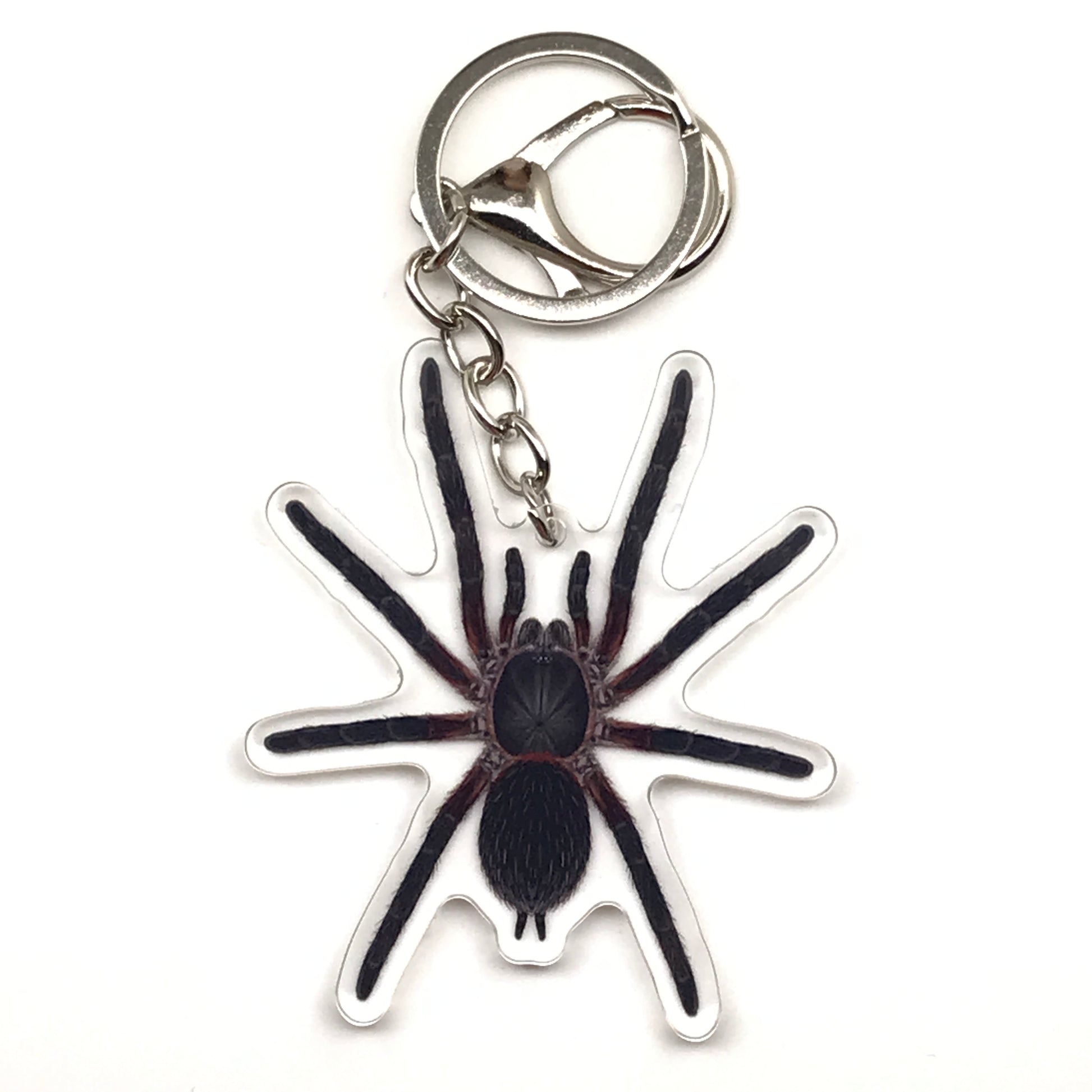 Black Dwarf Beauty Tarantula keychain featuring Dolichothele mineirum acrylic charm from The Silk Ranch.