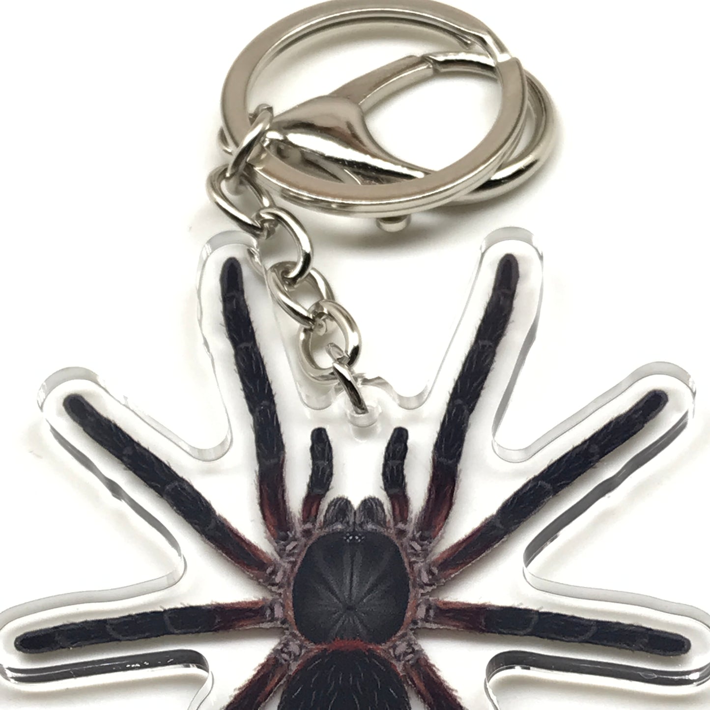 Black Dwarf Beauty Tarantula keychain featuring Dolichothele mineirum acrylic charm on a durable keyring.