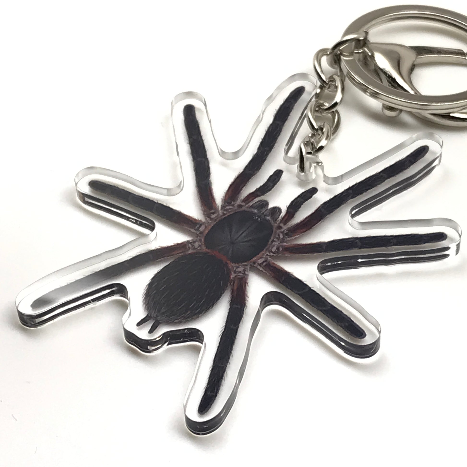 Black Dwarf Beauty Tarantula keychain from The Silk Ranch featuring a Dolichothele Mineirum acrylic charm.