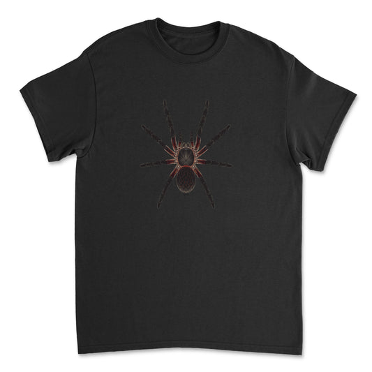 Black Dwarf Beauty Tarantula Dolichothele mineirum art T-shirt featuring detailed spider illustration on black cotton fabric.