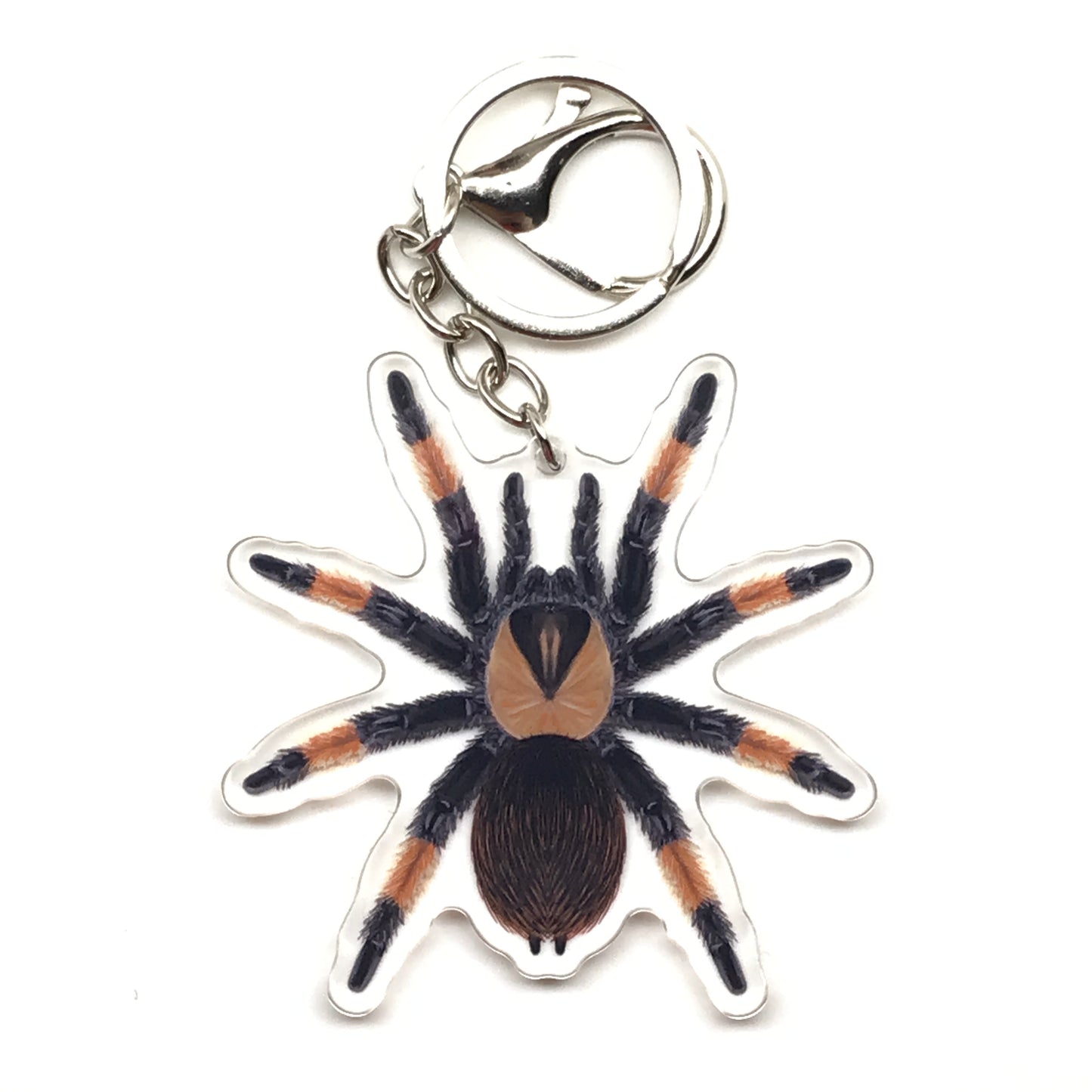 Mexican Red Leg Tarantula Brachypelma Emilia acrylic keychain charm with detailed red and black spider design by The Silk Ranch.