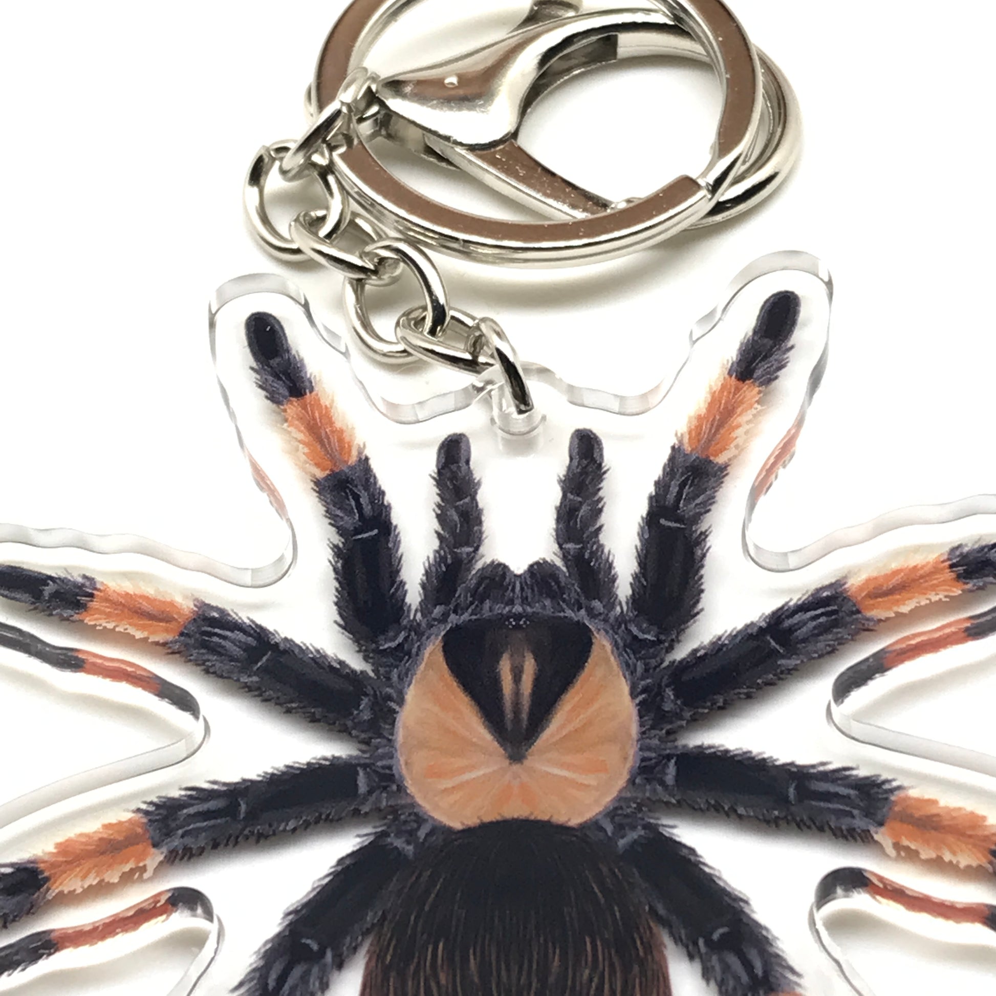 Mexican Red Leg Tarantula Brachypelma Emilia acrylic keychain charm with detailed red and black spider design.