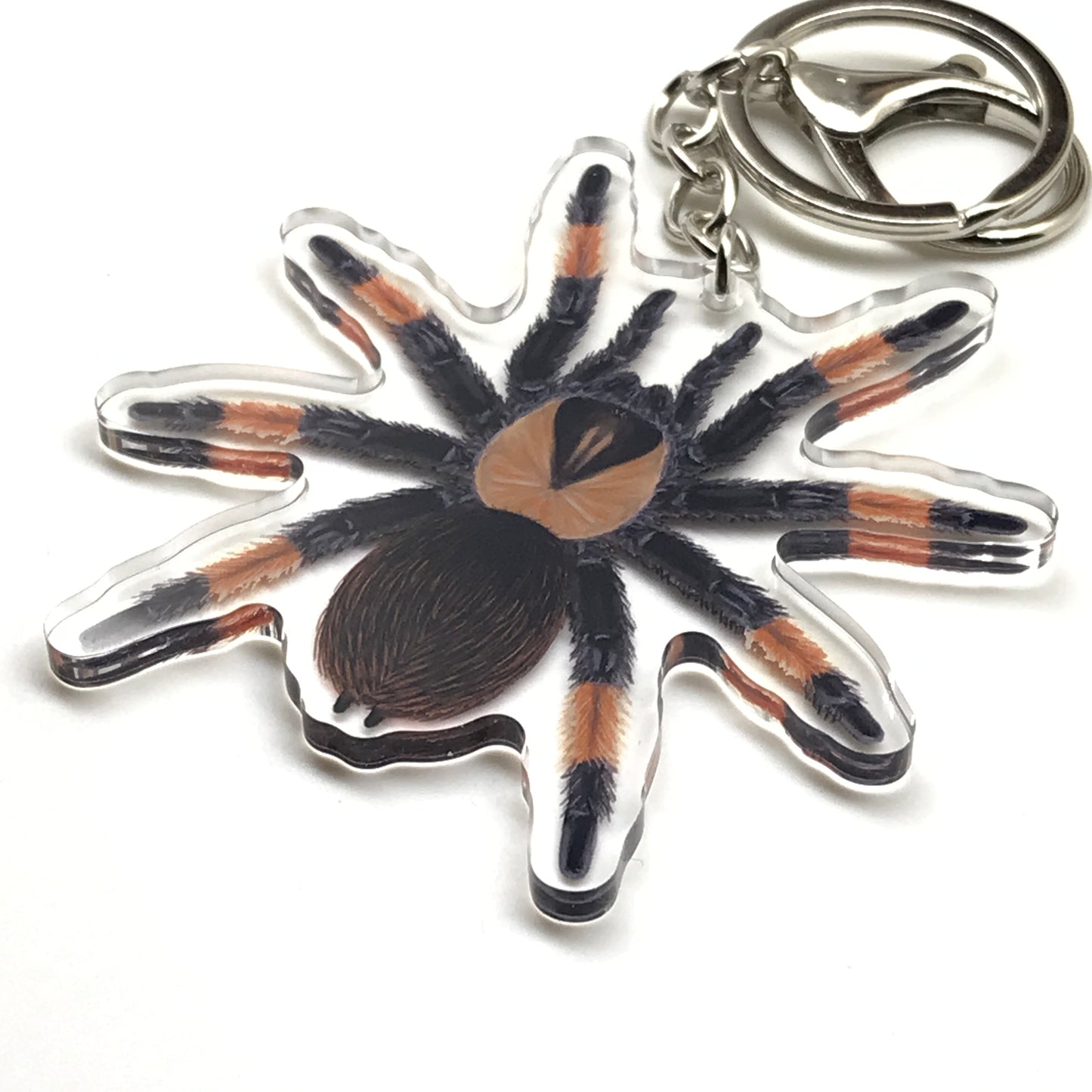 Mexican Red Leg Tarantula keychain featuring Brachypelma Emilia acrylic charm on a clear background.