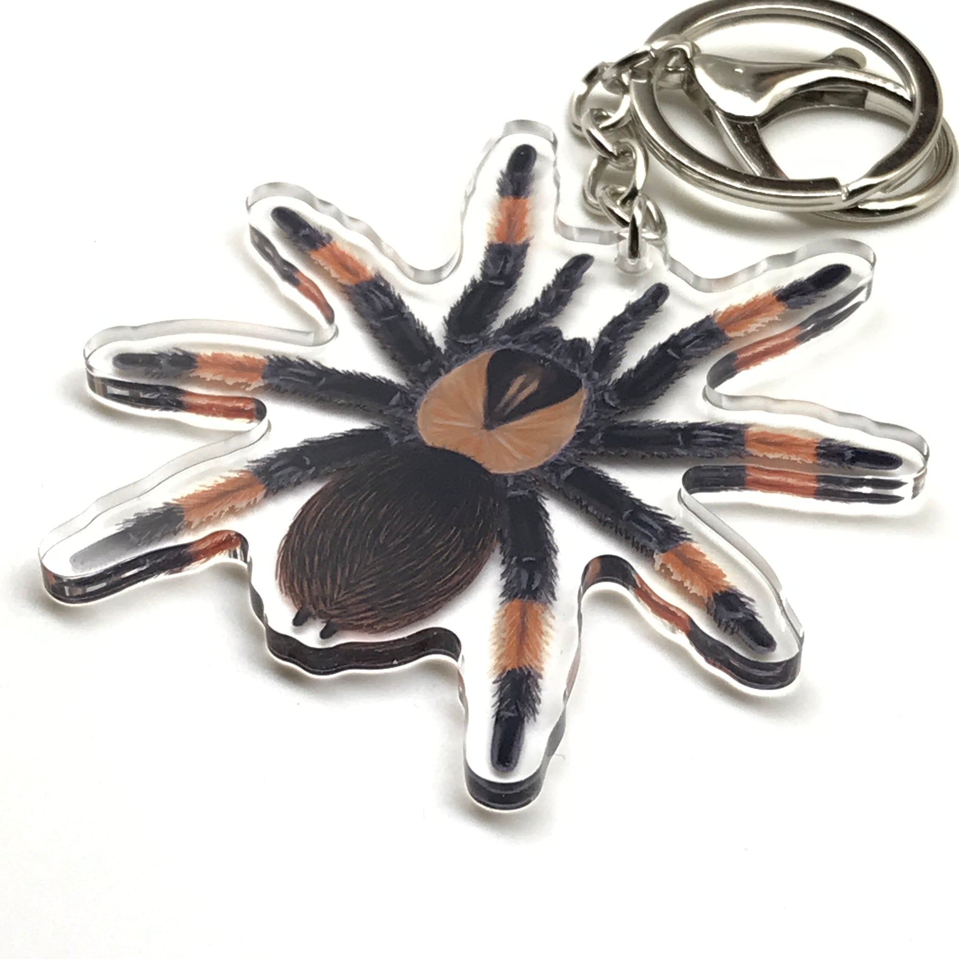 Mexican Red Leg Tarantula keychain featuring Brachypelma Emilia acrylic charm on a clear background.