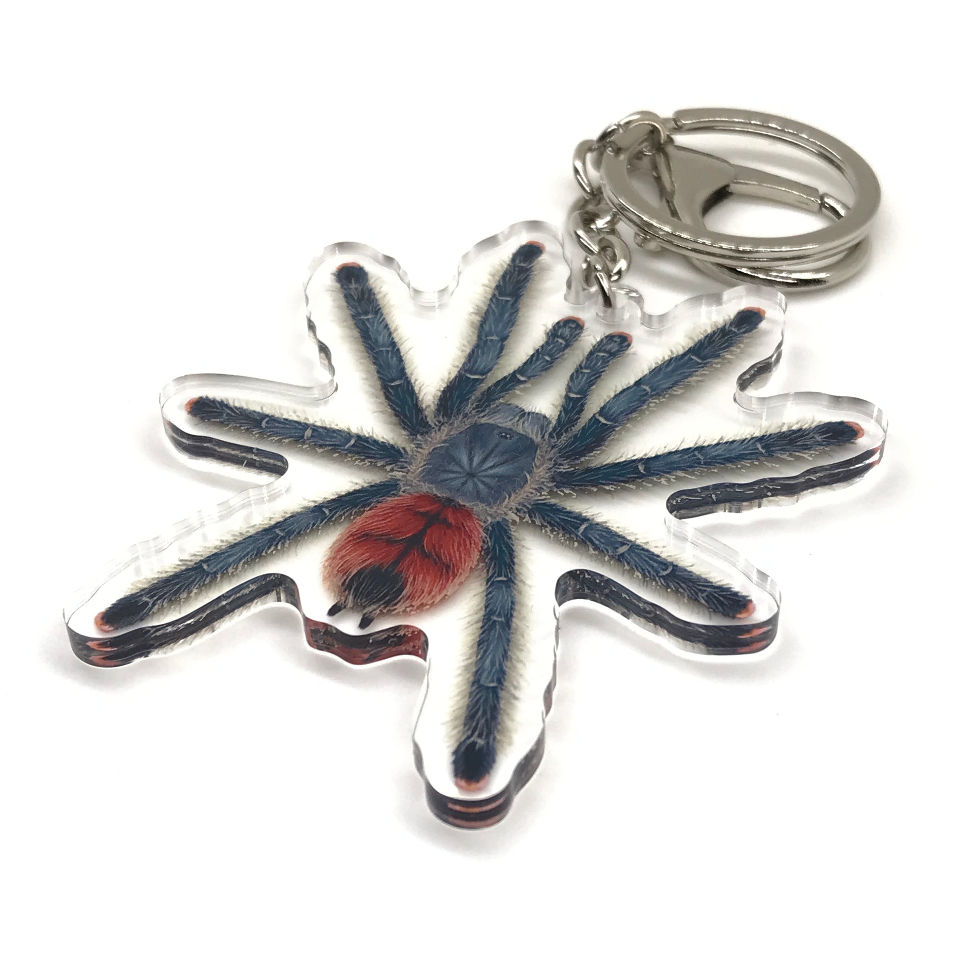 Grizzly Pinktoe Tarantula Keychain, Avicularia Variegata Acrylic Charm from The Silk Ranch