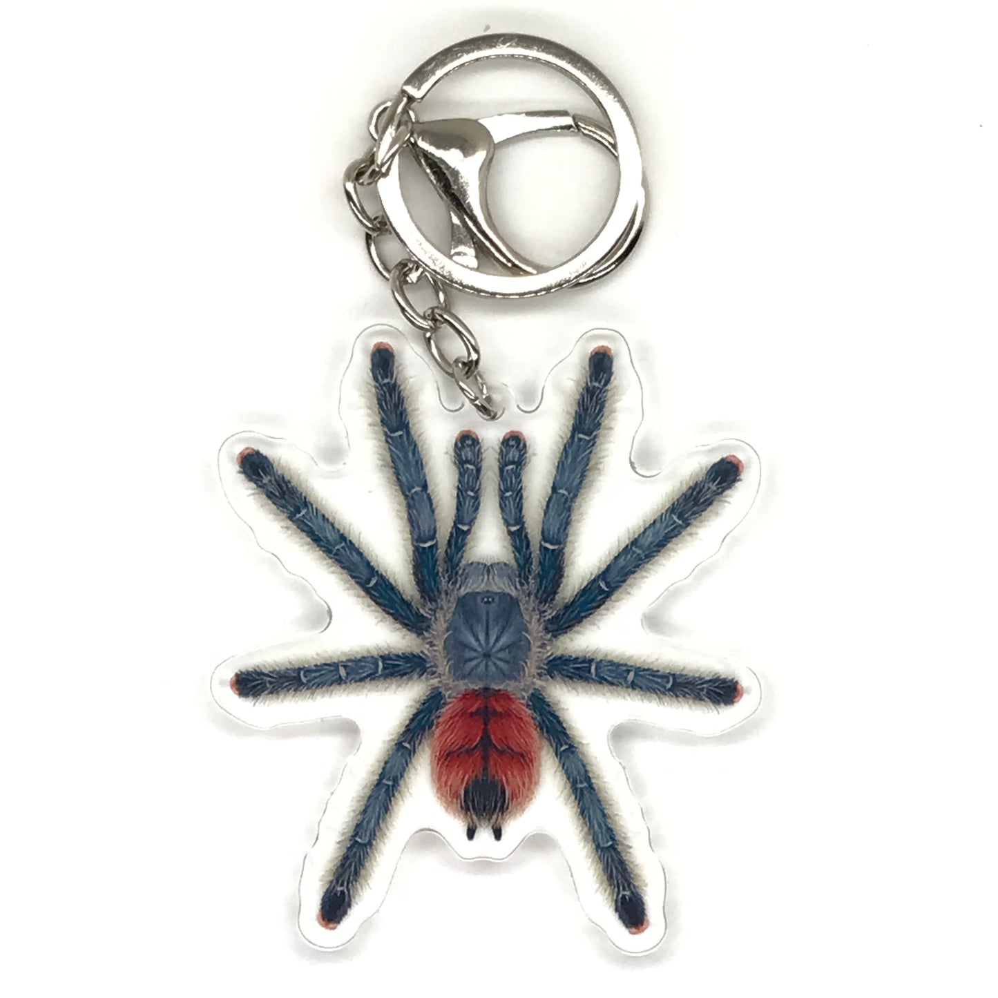 Grizzly Pinktoe Tarantula Keychain, Avicularia Variegata Acrylic Charm from The Silk Ranch