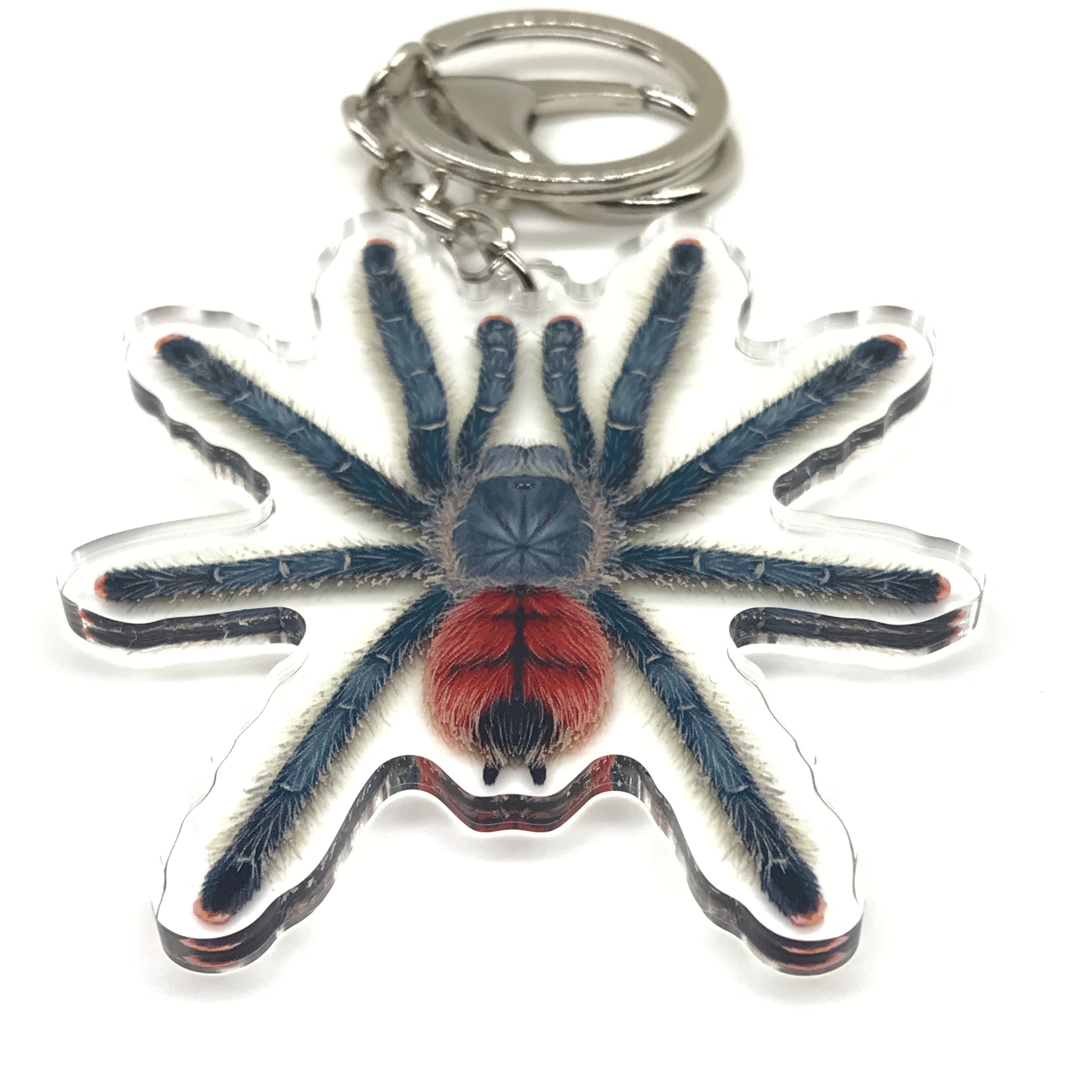 Grizzly Pinktoe Tarantula Keychain, Avicularia Variegata Acrylic Charm from The Silk Ranch