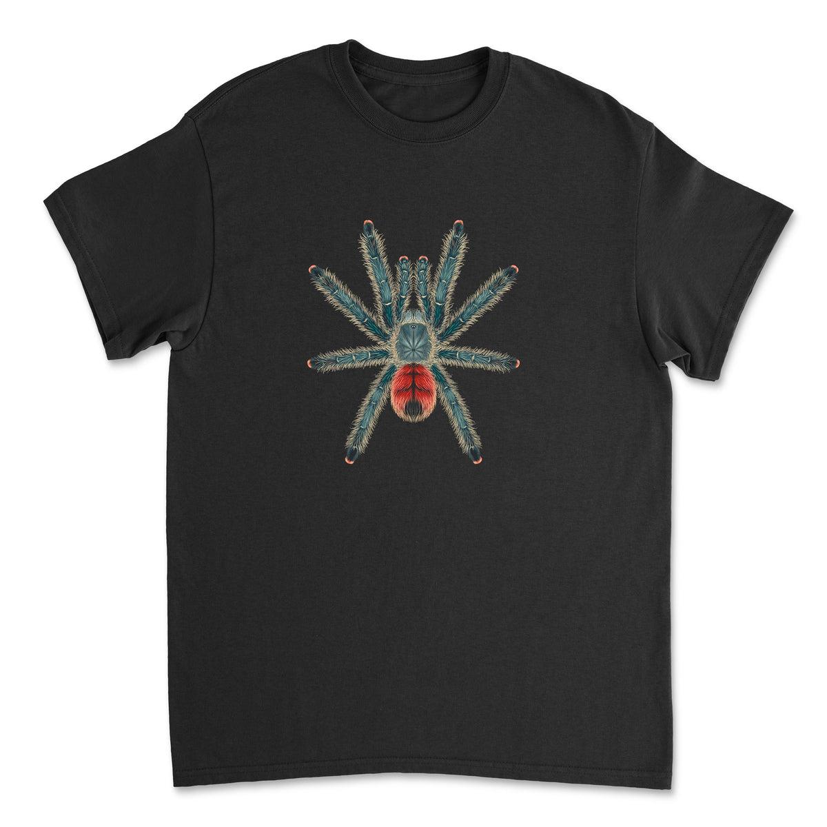Pinktoe tarantula illustration on Mingo Art T-shirt featuring the Avicularia variegata spider design.