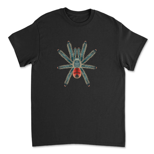 Pinktoe tarantula illustration on Mingo Art T-shirt featuring the Avicularia variegata spider design.
