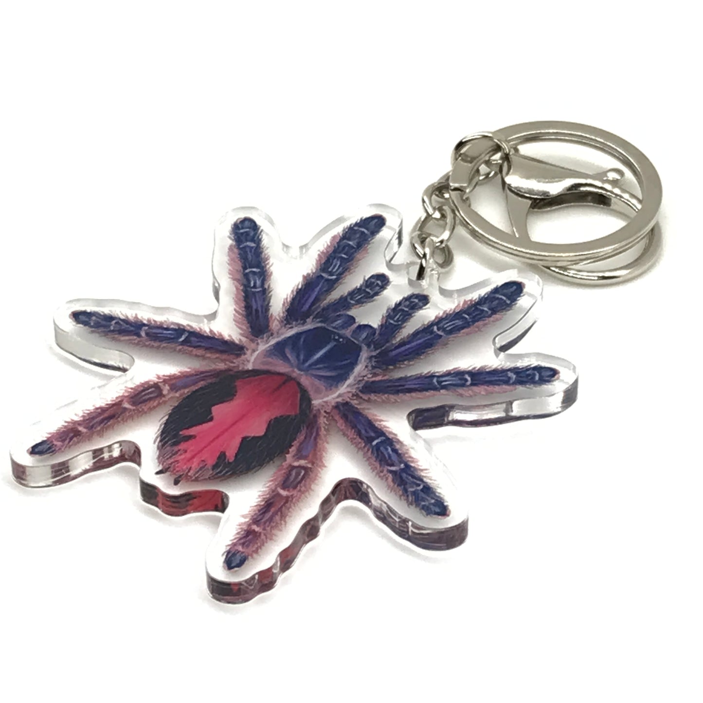 Acrylic keychain featuring a colorful Typhochlaena Amma tarantula charm with detailed arachnid design, from The Silk Ranch.