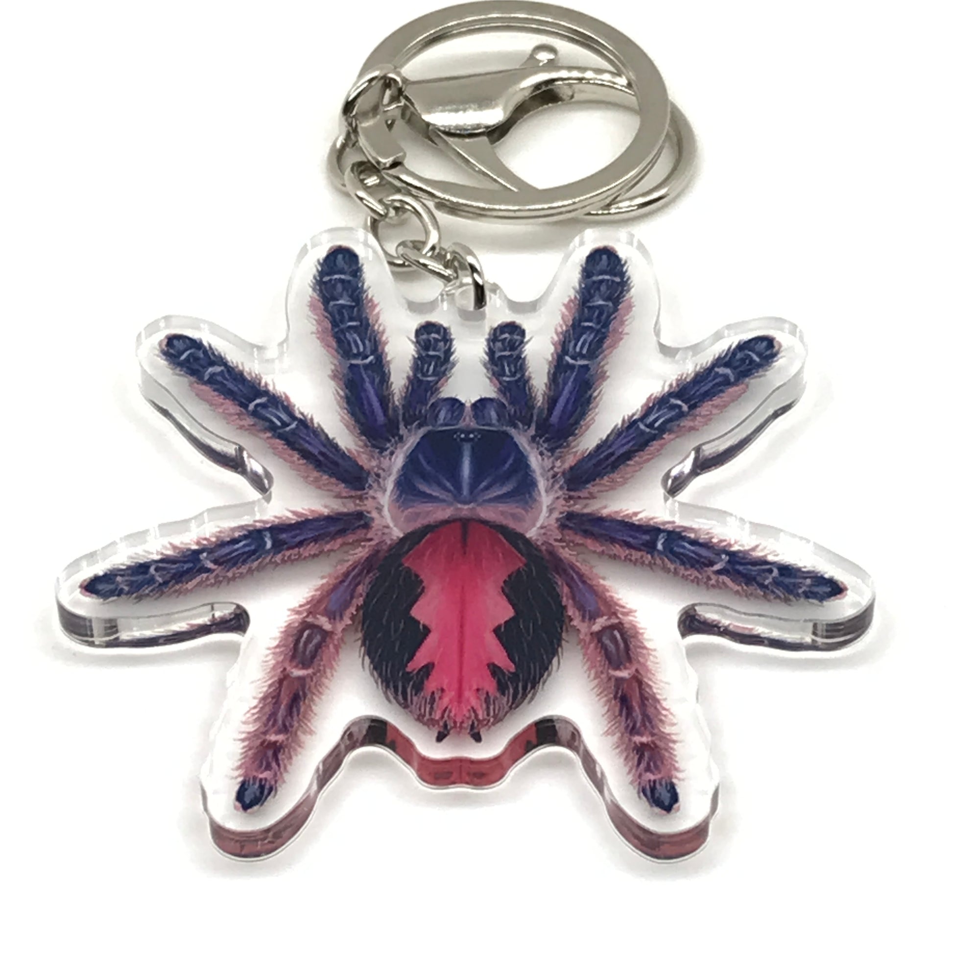 Acrylic charm keychain featuring a colorful Tarantula Amma Jewel from The Silk Ranch, with detailed spider design on clear acrylic