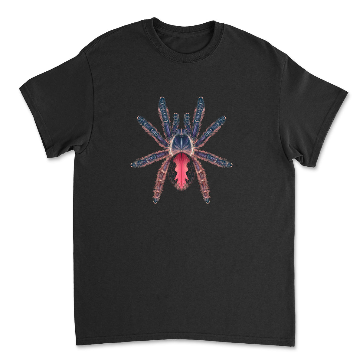 Mingo Art Amma Jewel Tarantula T-Shirt featuring a colorful illustration of Typhochlaena amma spider on a black cotton tee.