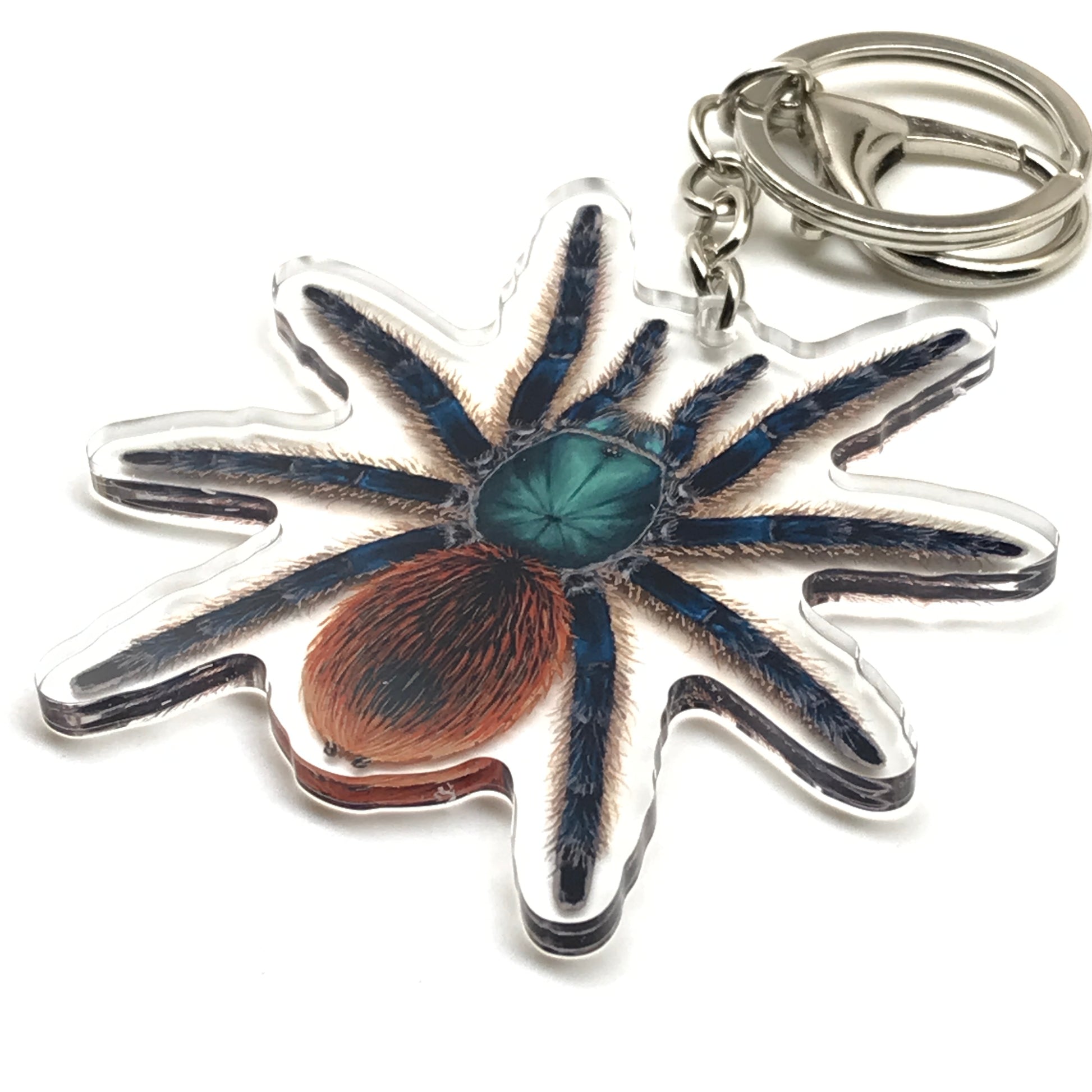 Jade Fuego Tarantula Keychain, Aphonopelma Mooreae Acrylic Charm from The Silk Ranch