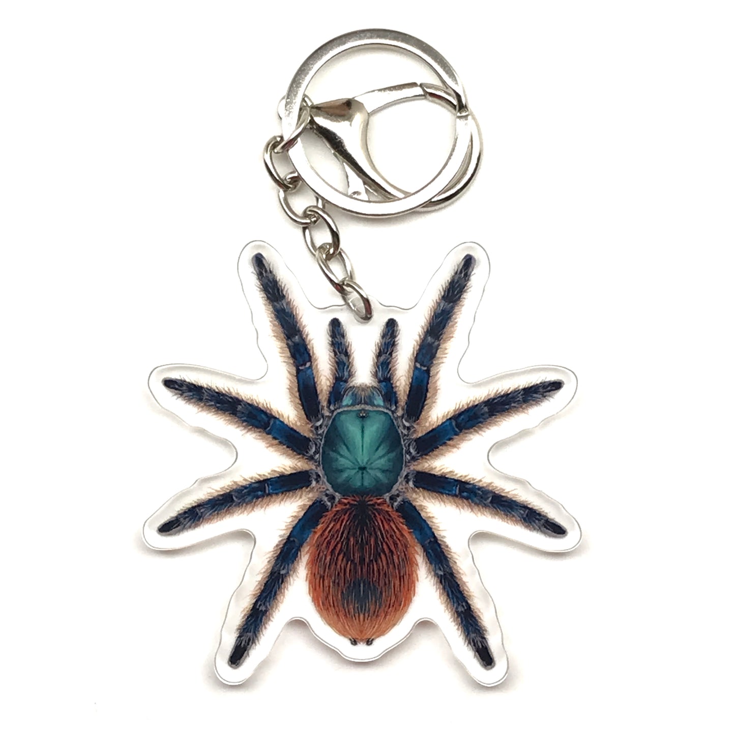 Jade Fuego Tarantula Keychain, Aphonopelma Mooreae Acrylic Charm from The Silk Ranch