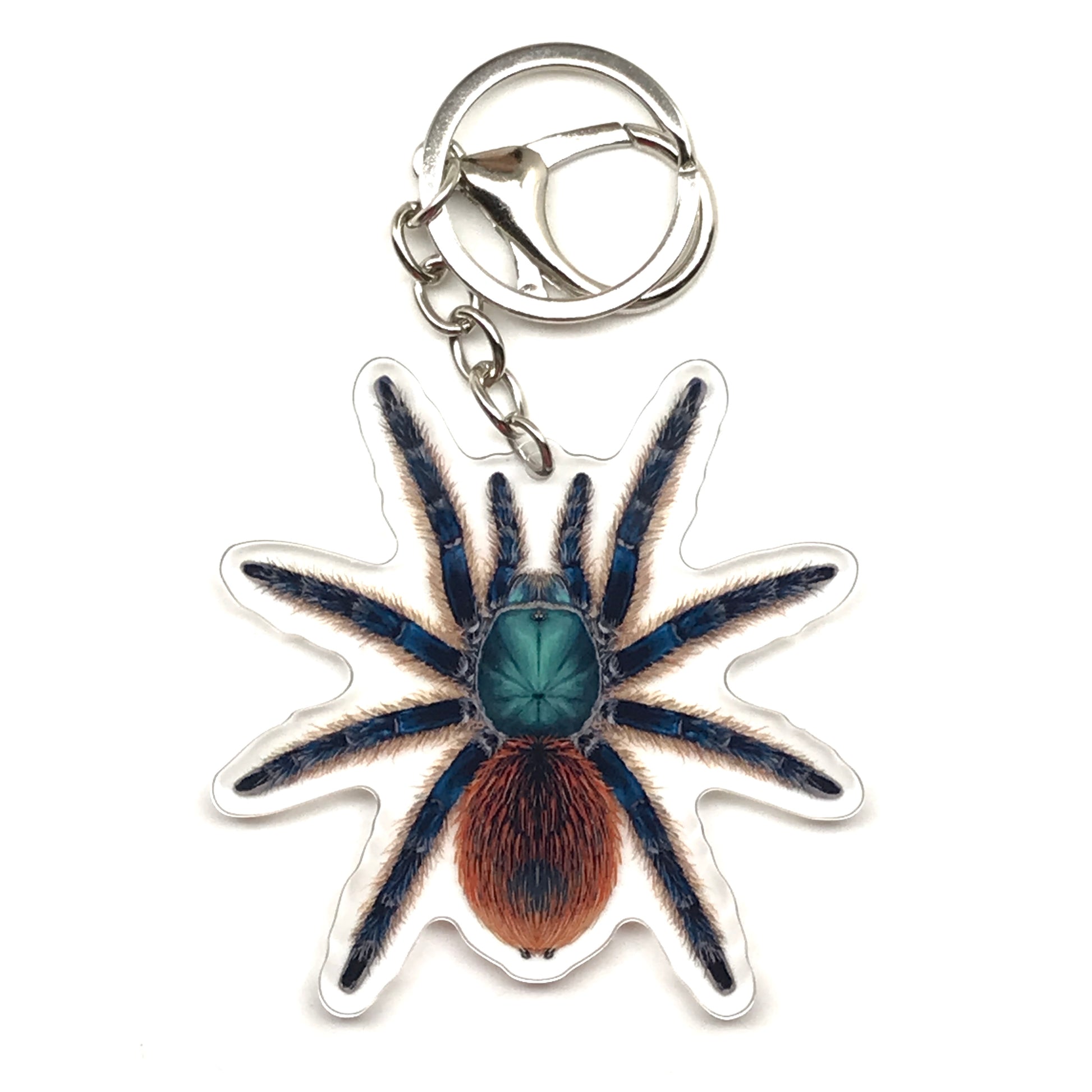 Jade Fuego Tarantula Keychain, Aphonopelma Mooreae Acrylic Charm from The Silk Ranch